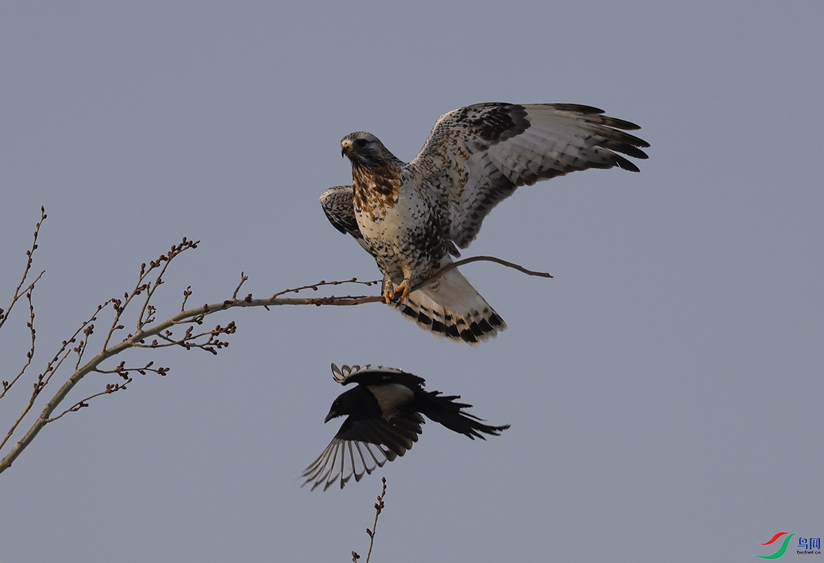 6X1A8281.jpgϲȵս��