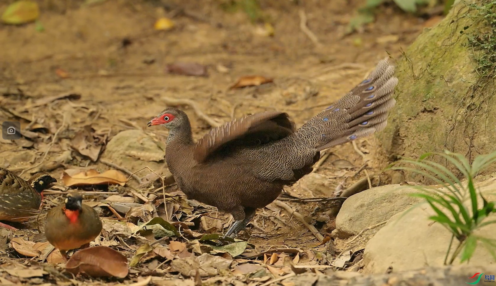 {7B2D37D0-7506-4320-A953-27A3B38B8D40} ����.jpg