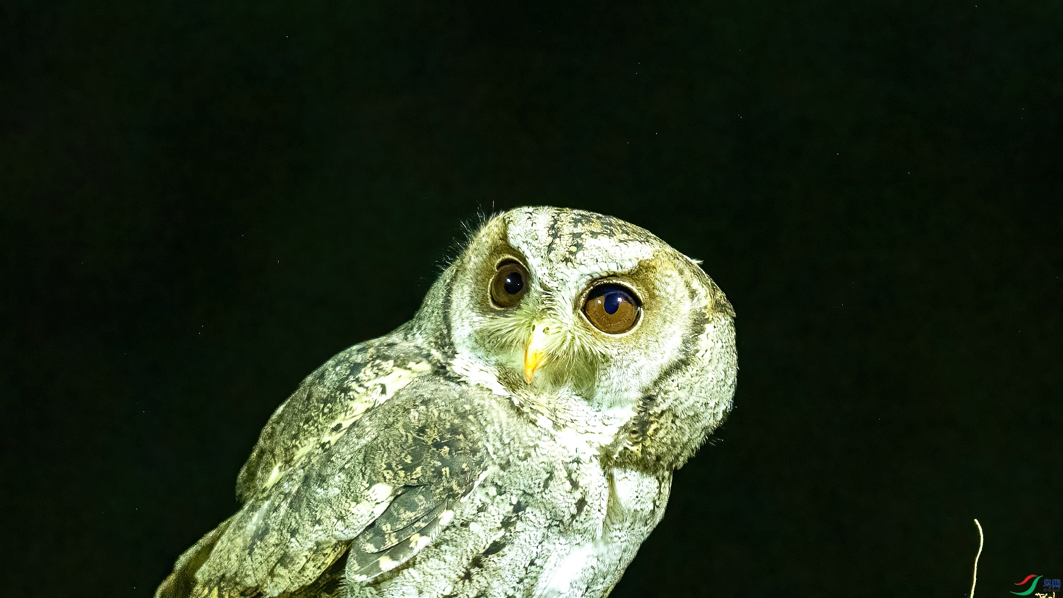 DSC_7762.jpg