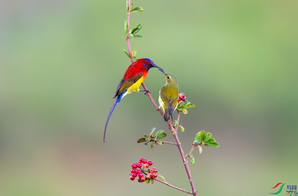 ���׺͡����ٻ����Ѿ�������ɽ���� 12.png