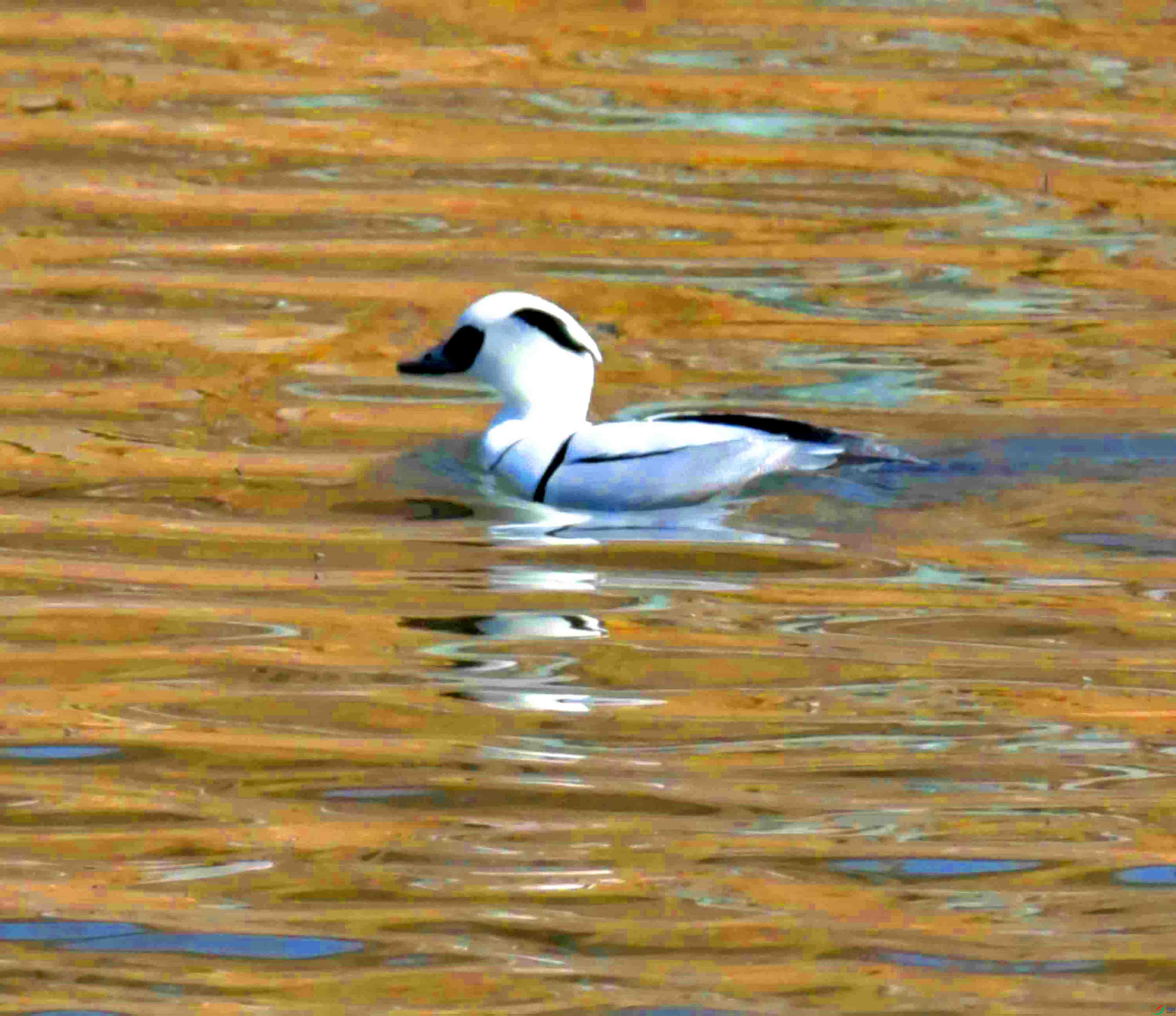 DSC_5539.JPG