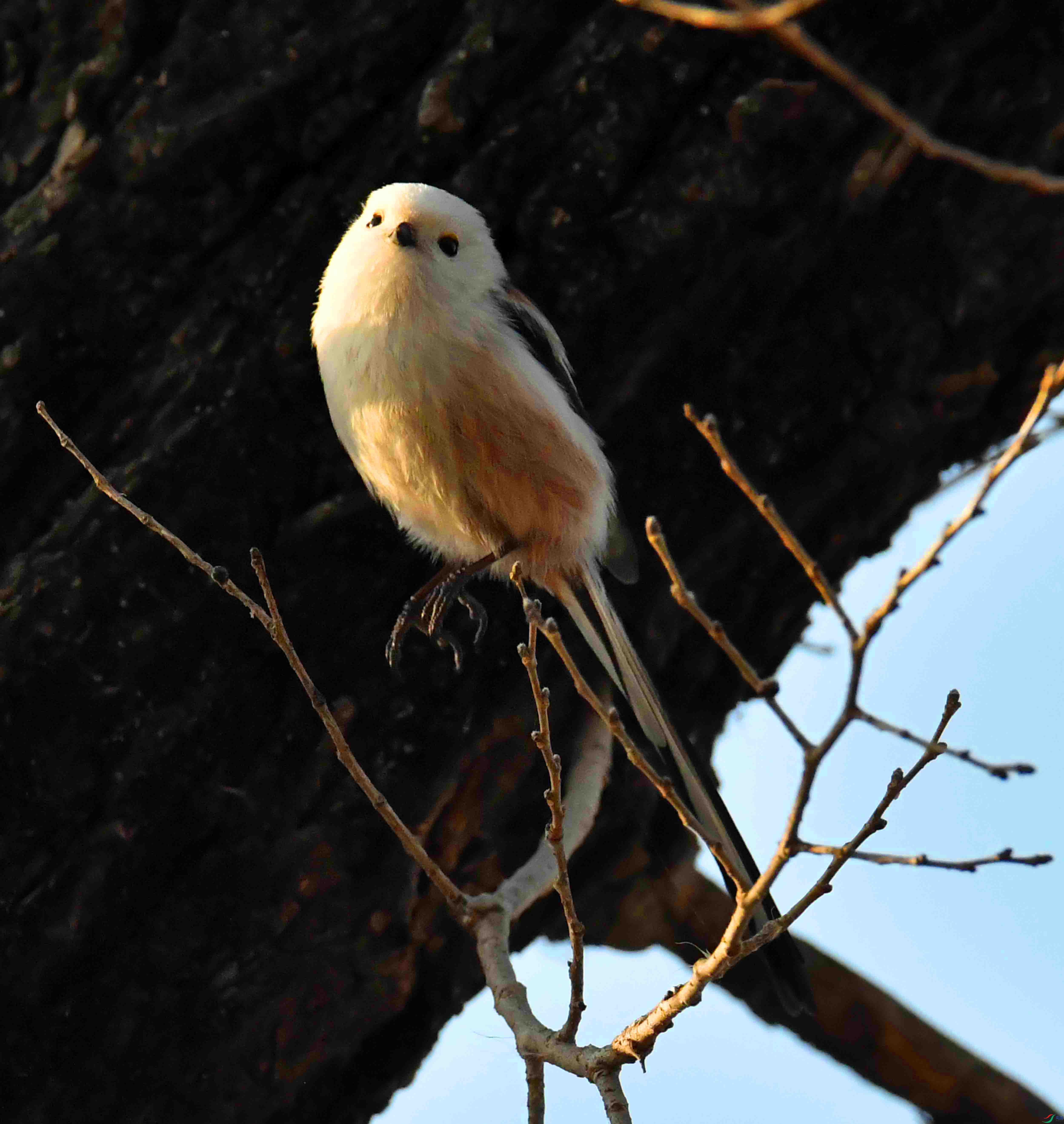 DSC_9549.JPG