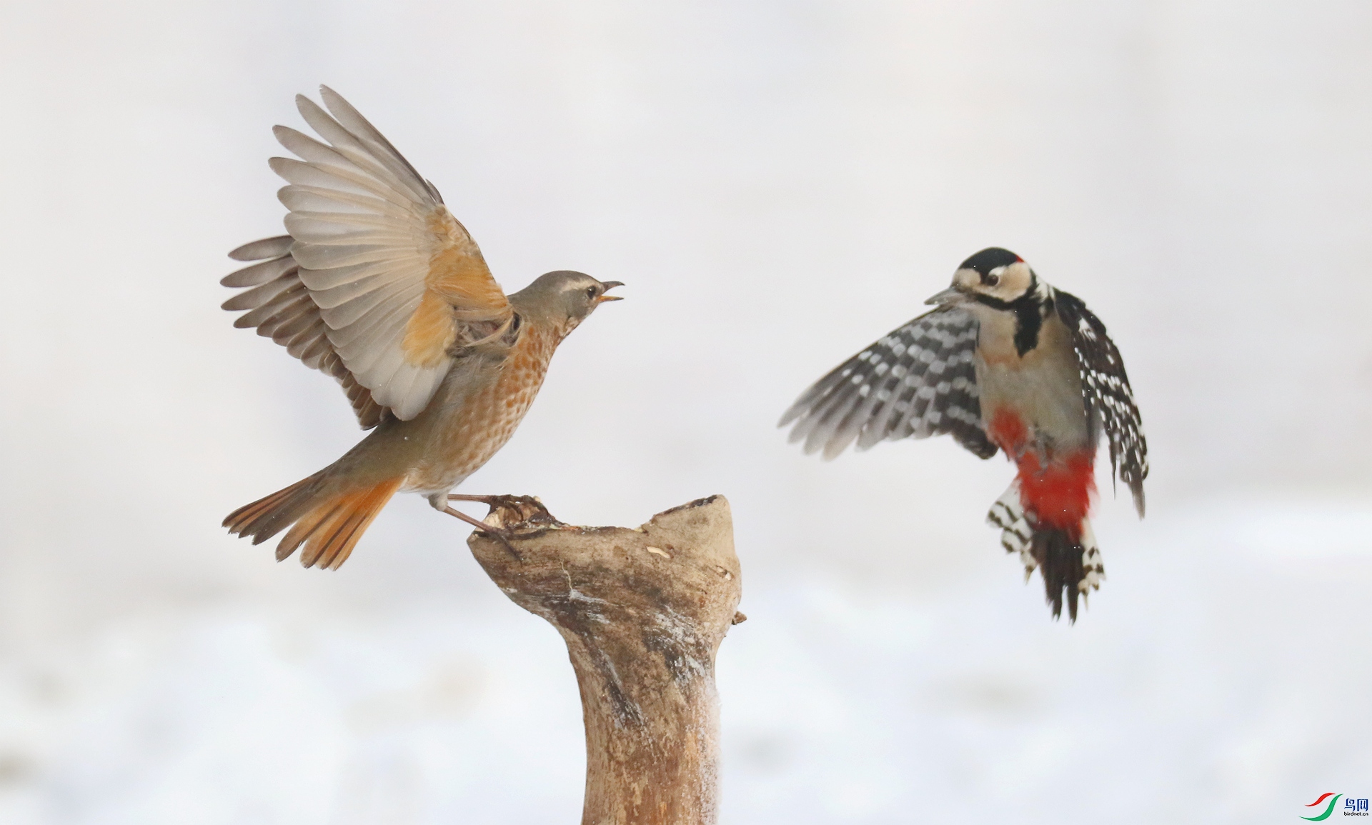 0G1A4056 ����.jpg