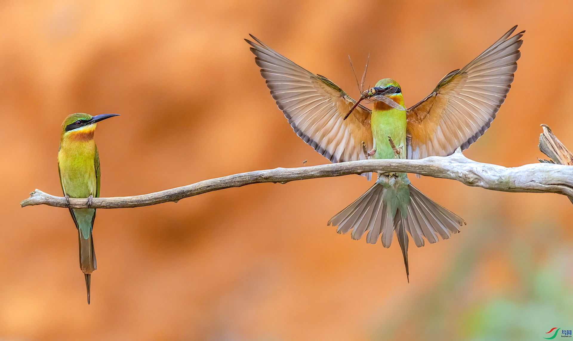 407A9818 ����-Sh---1 .jpg