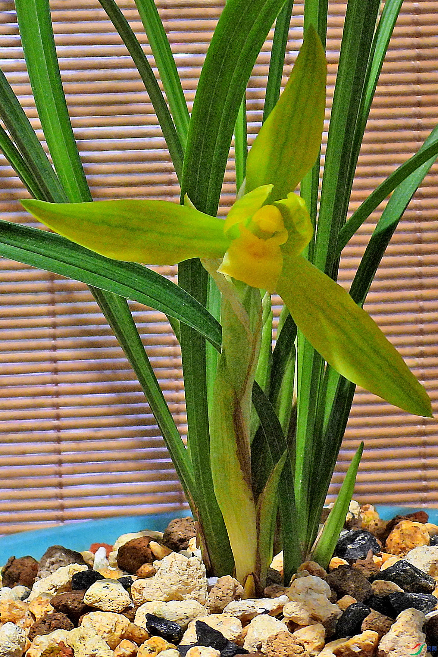 DSCN5237.JPG