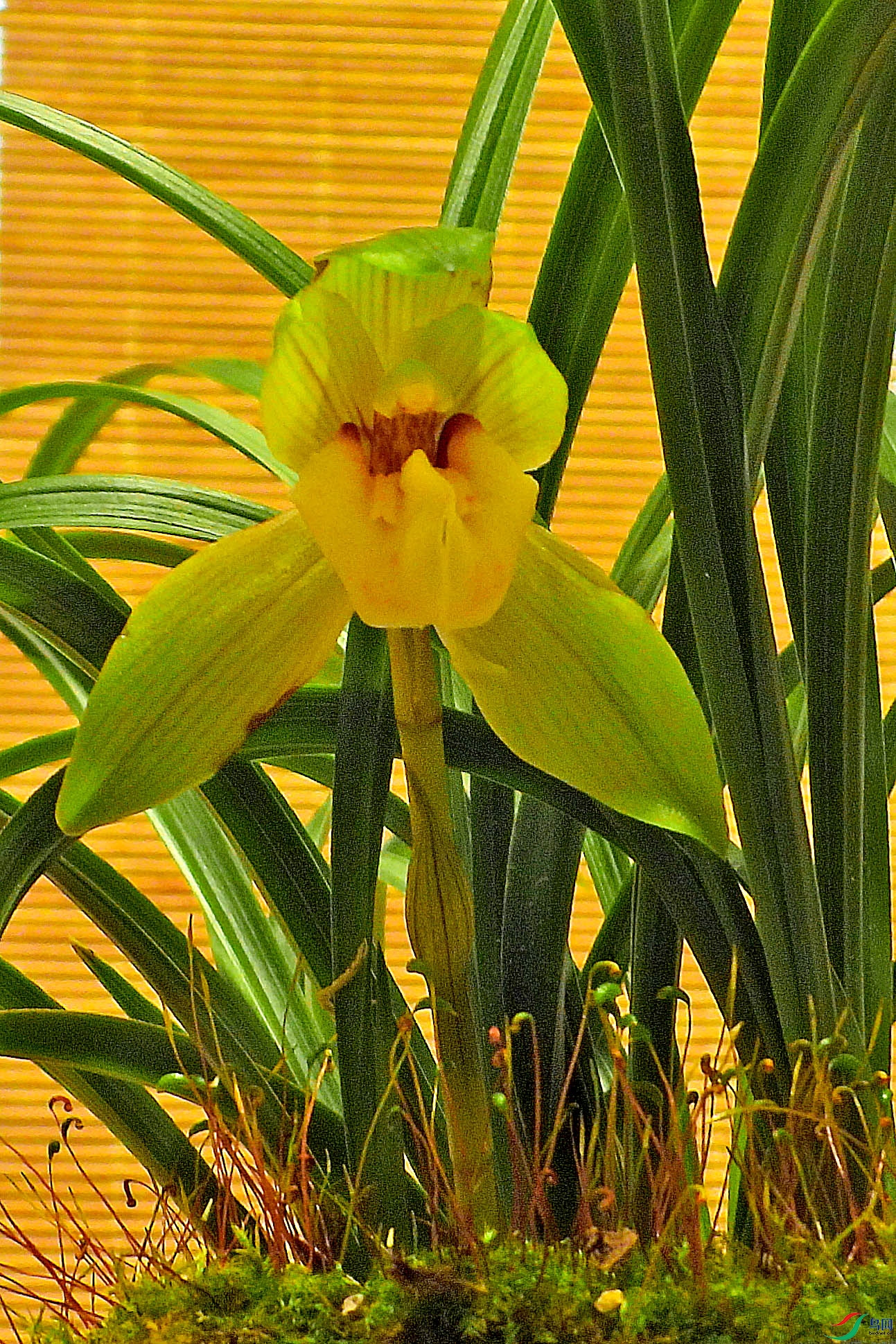 DSCN5240.JPG