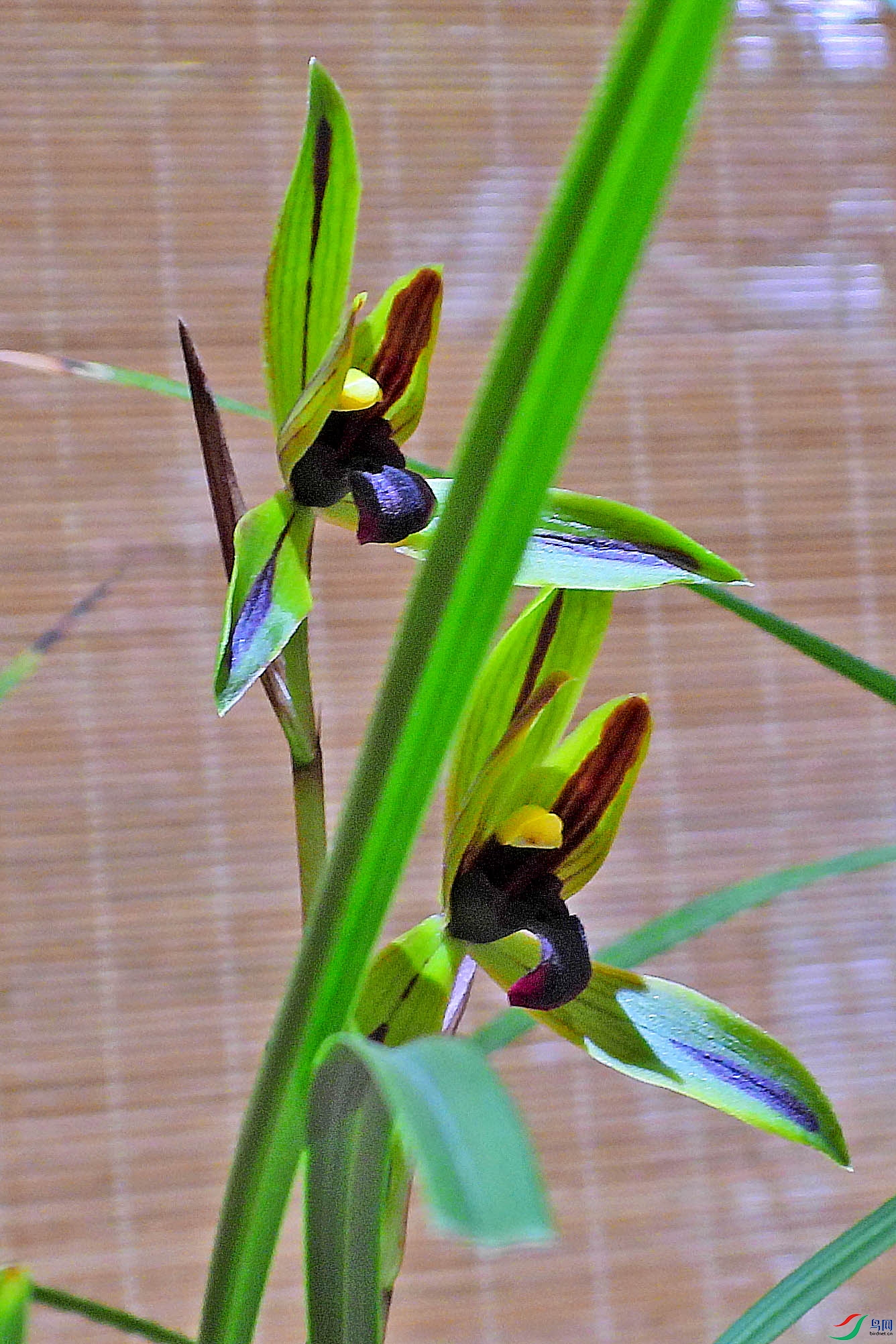 DSCN5238.JPG