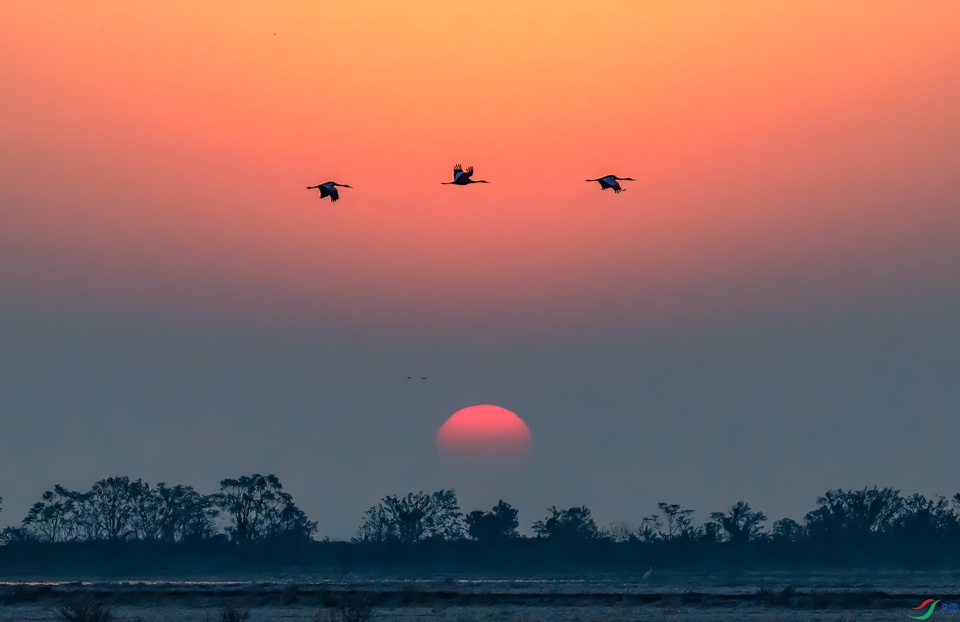 _60A0018 ����-Sha---1 .jpg