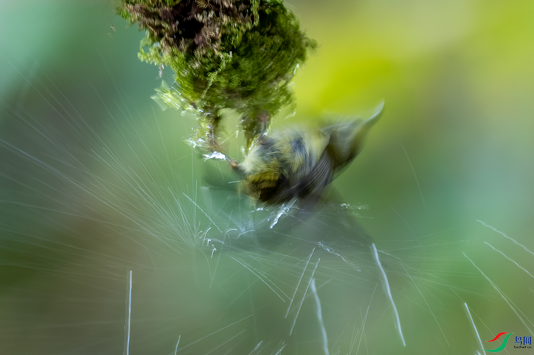 DSC_4598.png