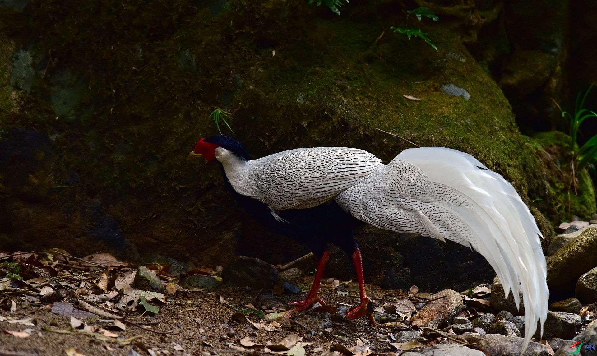 D8I_3638.jpg