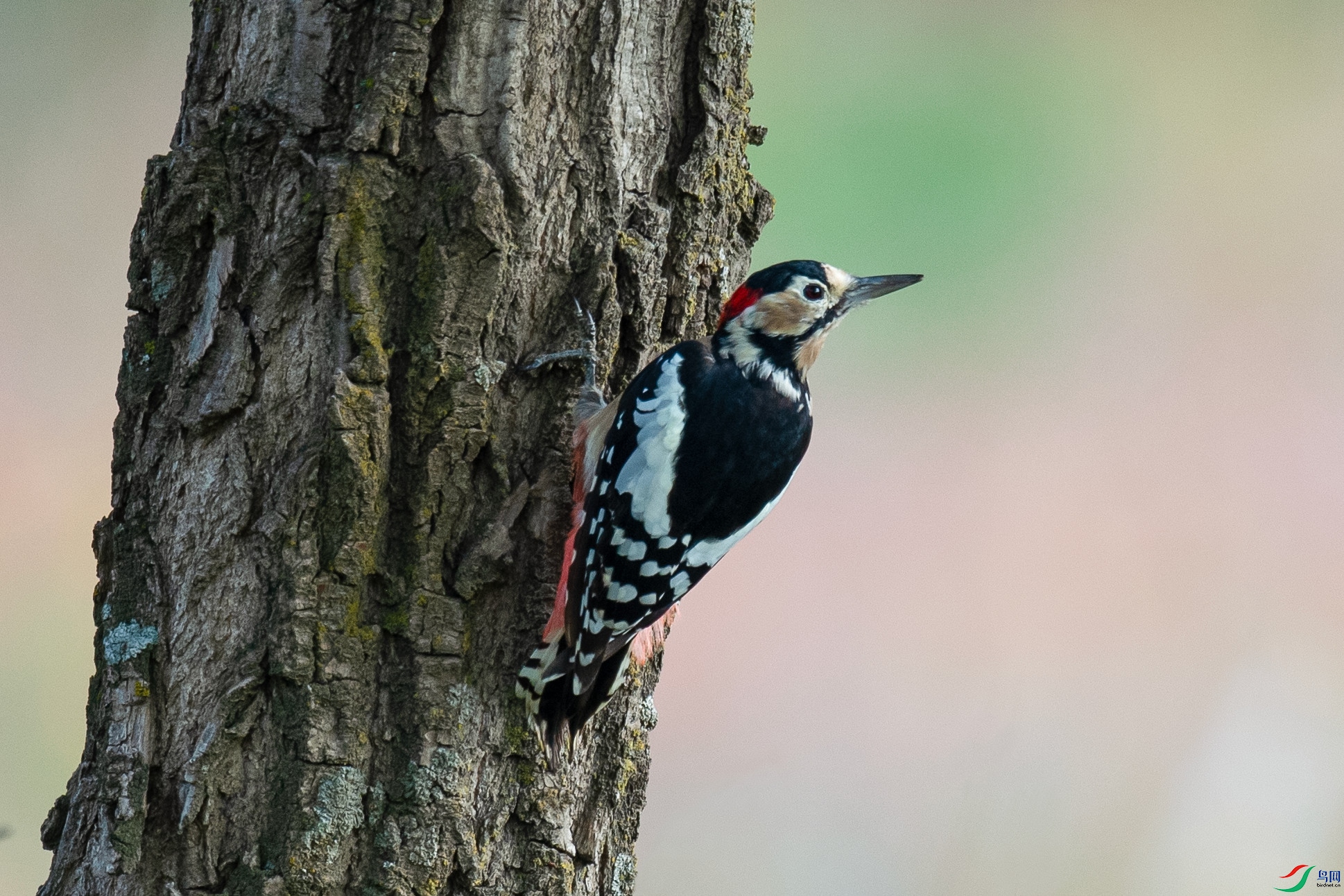_DSC3543.jpg