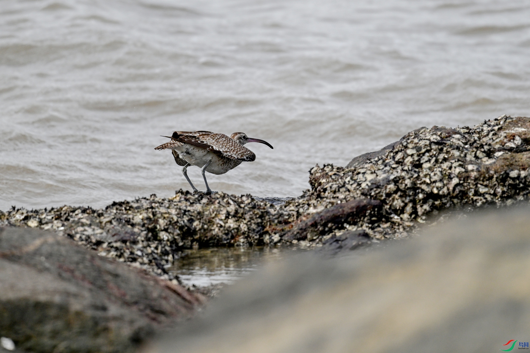 DSC_4593.JPG