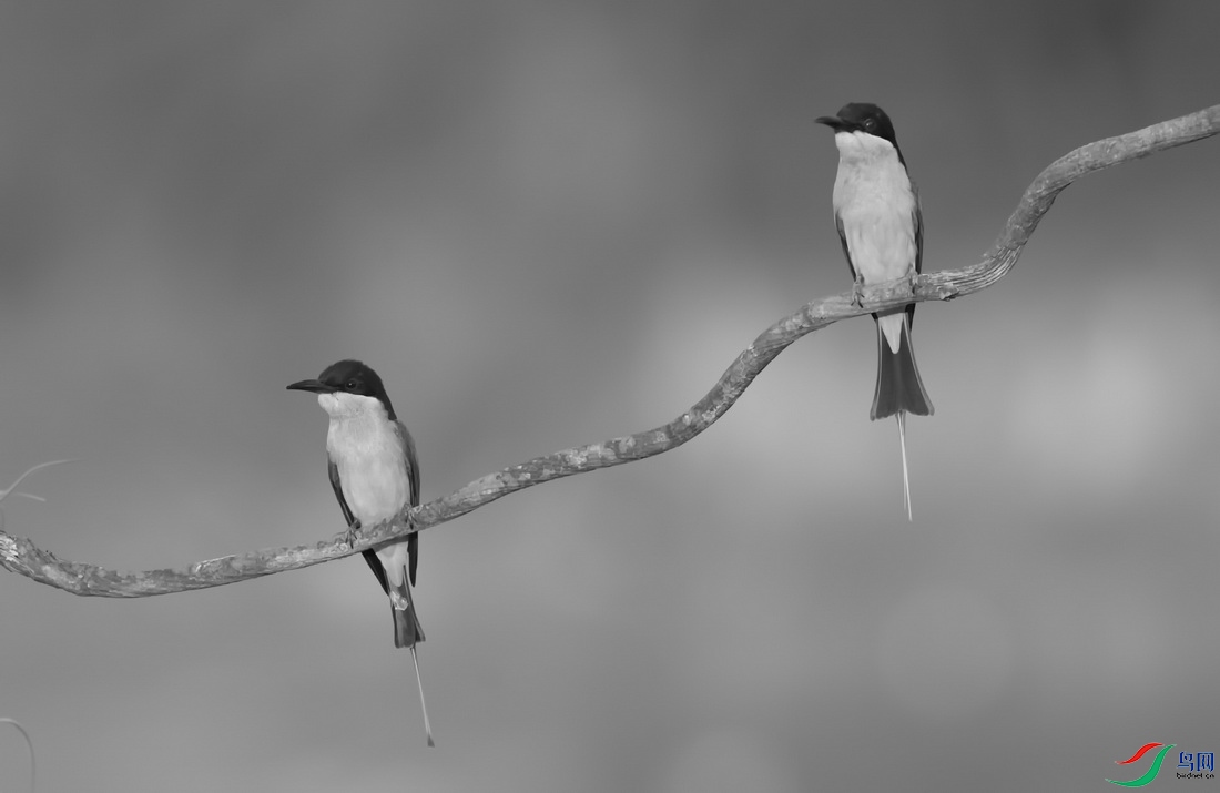 _DSC6090zcc_������С.jpg