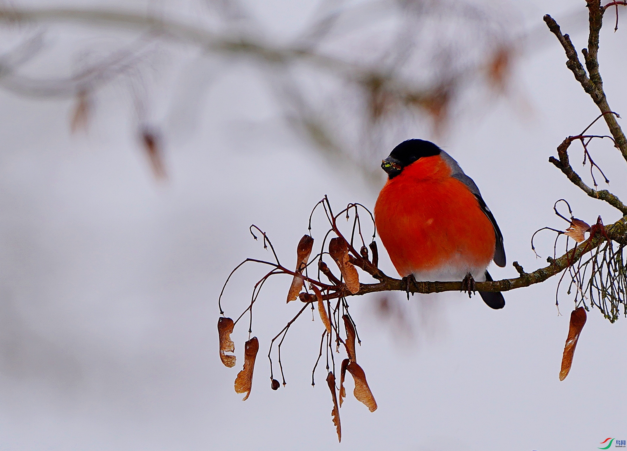 _DSC5968.JPG