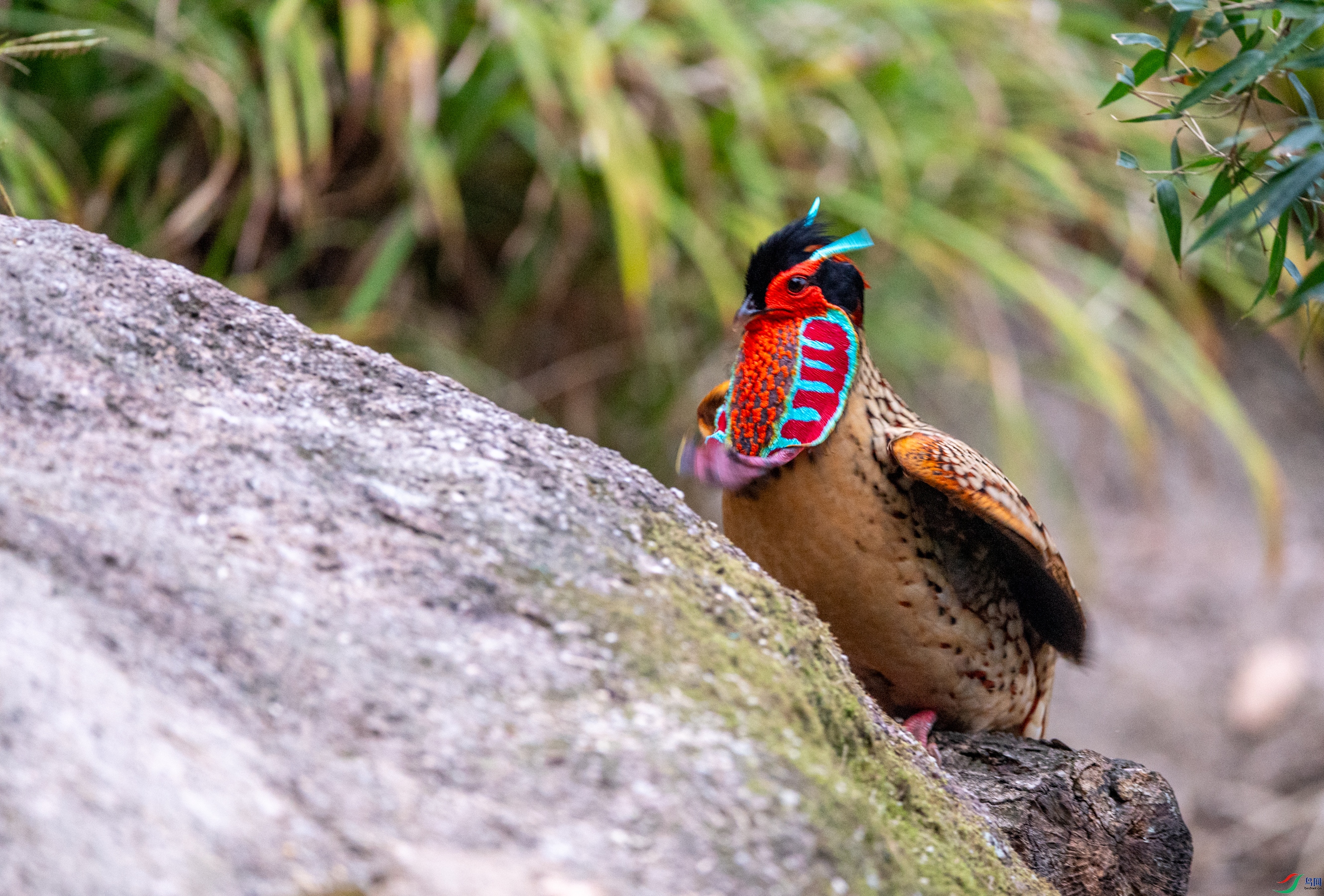 DSC_5534�Ƹ�����.JPG