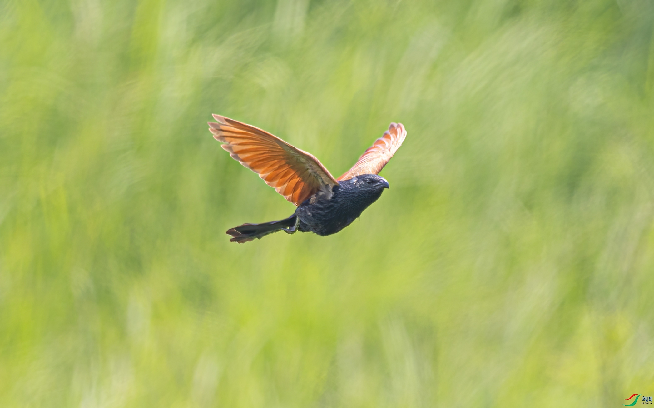0G6A8506.jpg