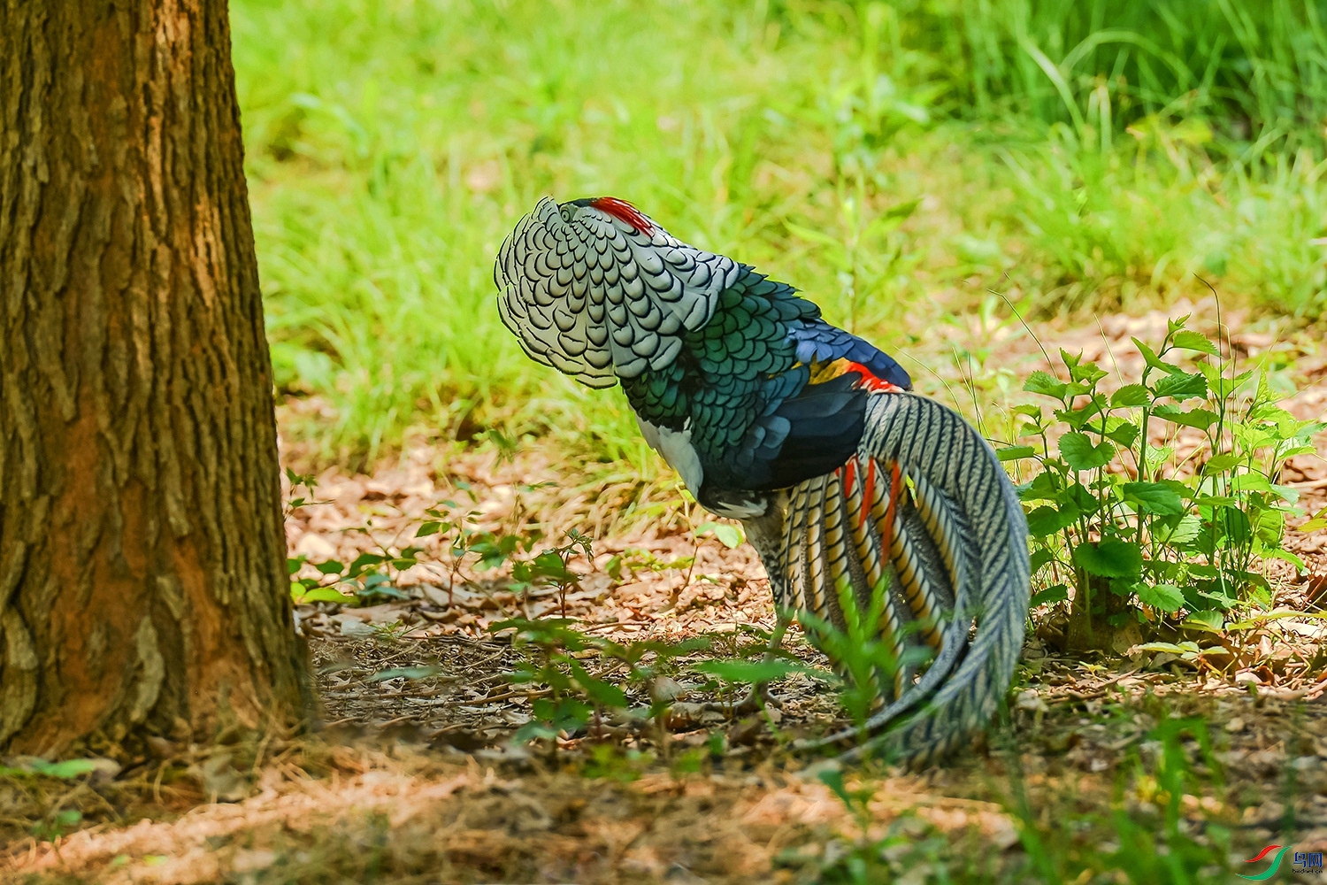 DSC_5401.jpg
