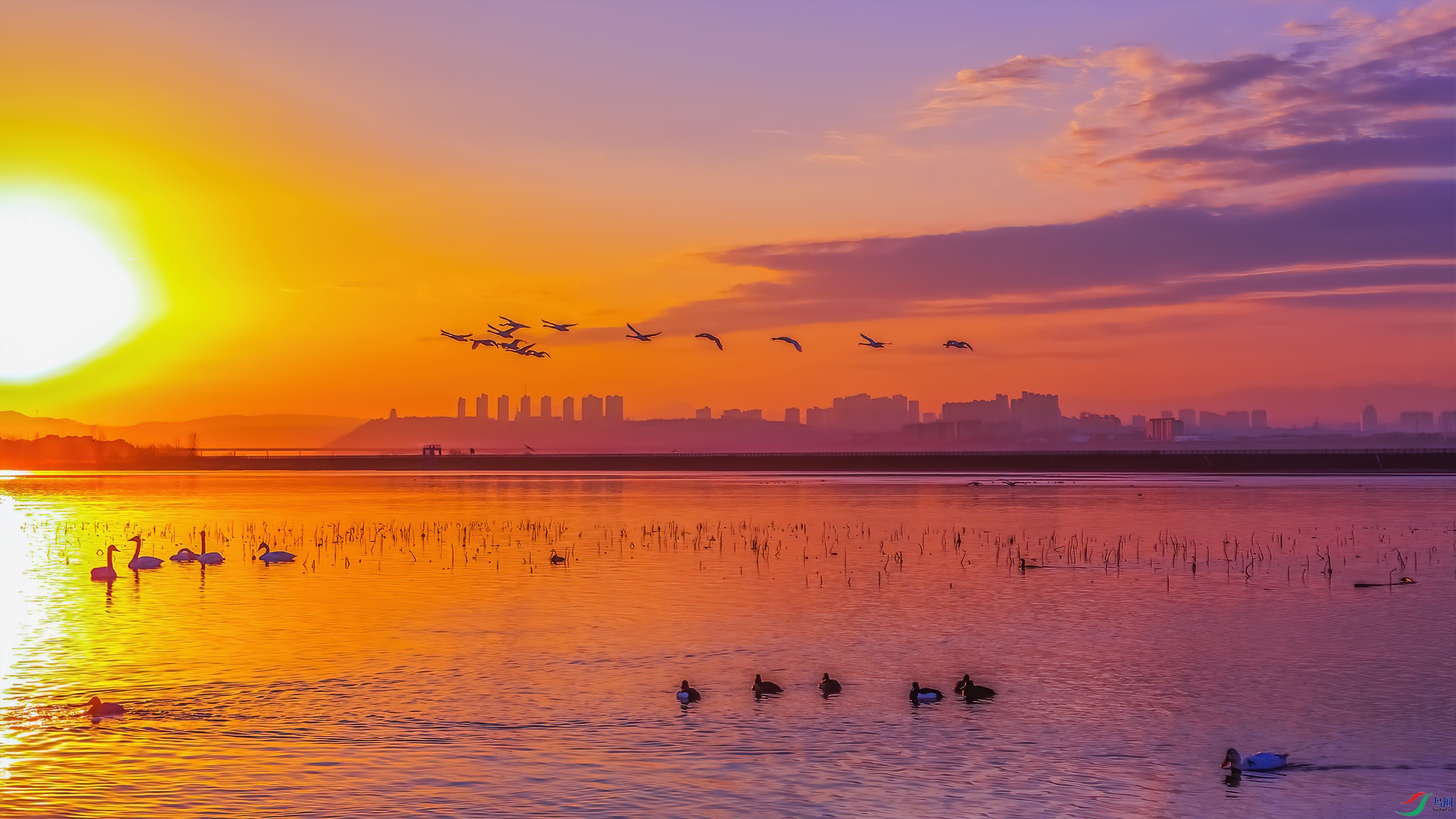 G81A4073 ����.jpg