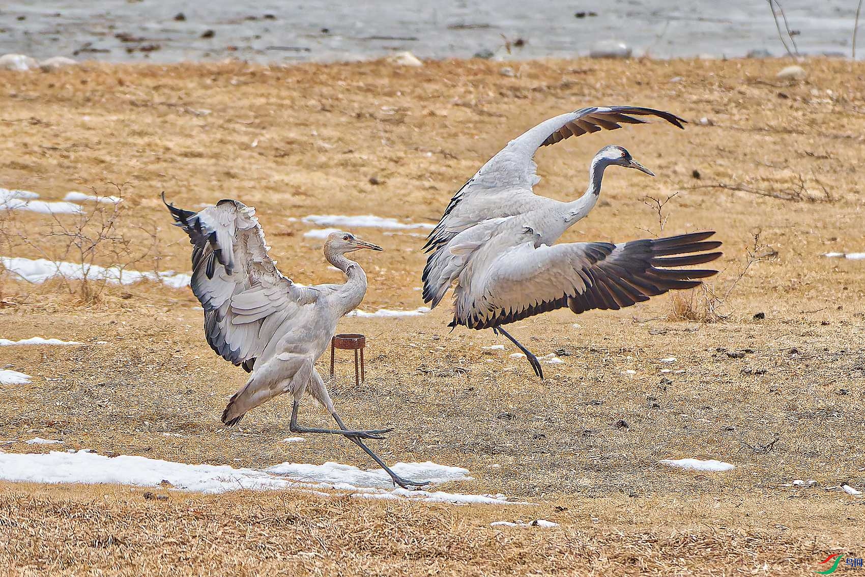 DSC_0478_DXO.jpg