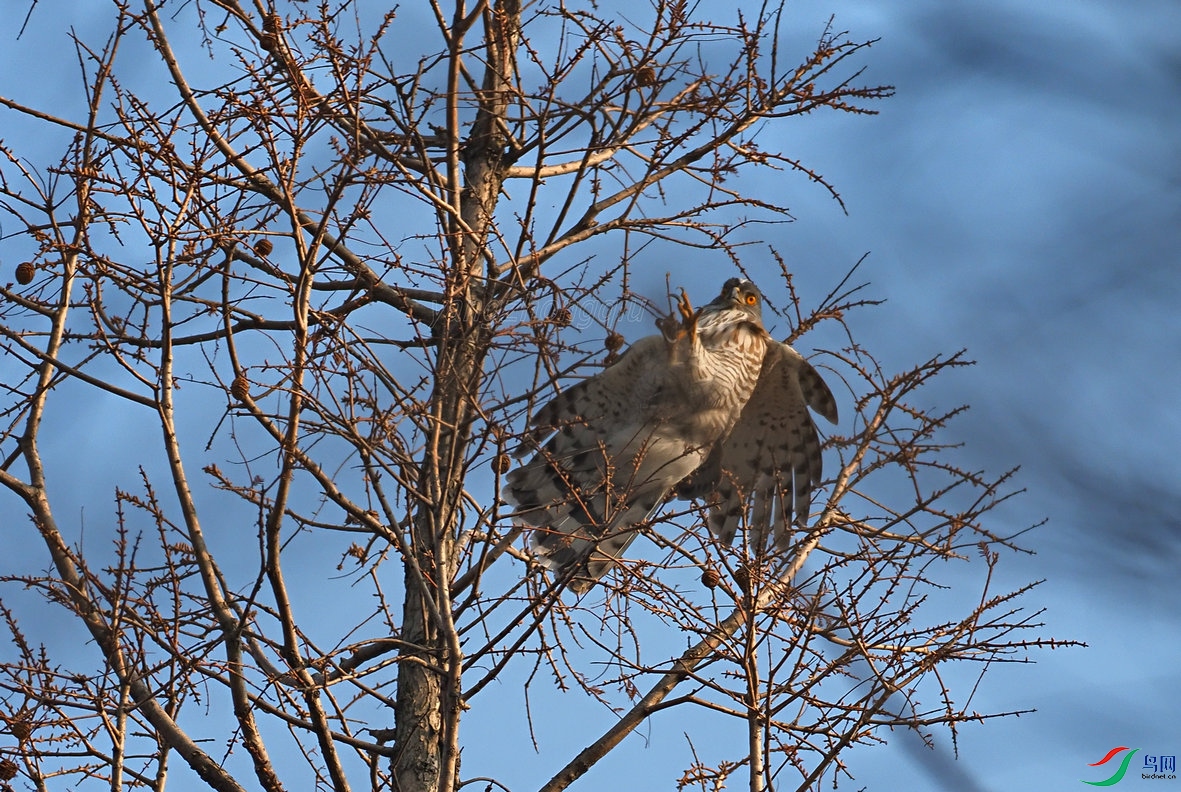 P2150300_����.jpg