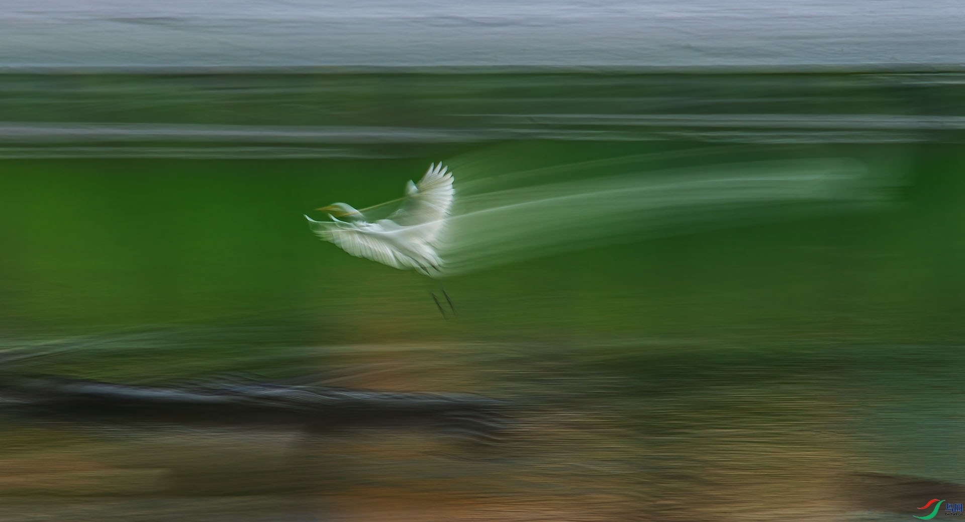 _DSC0474..jpg