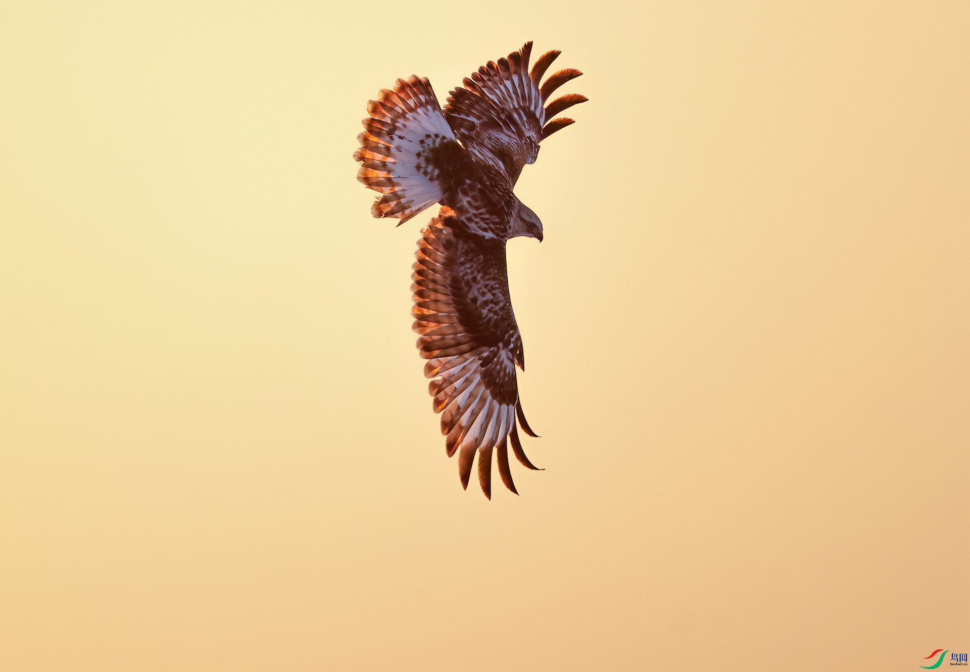 _F5A6850.JPG