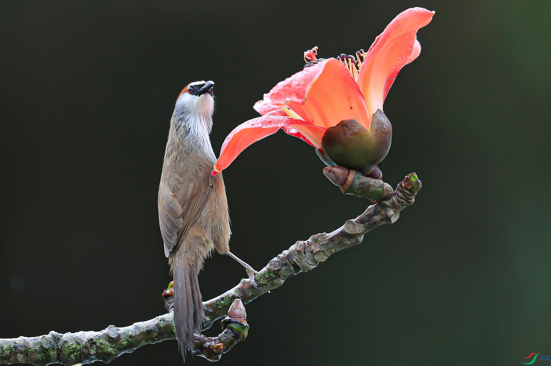 ����AI0I6207�� �� �ˣ���������.jpg