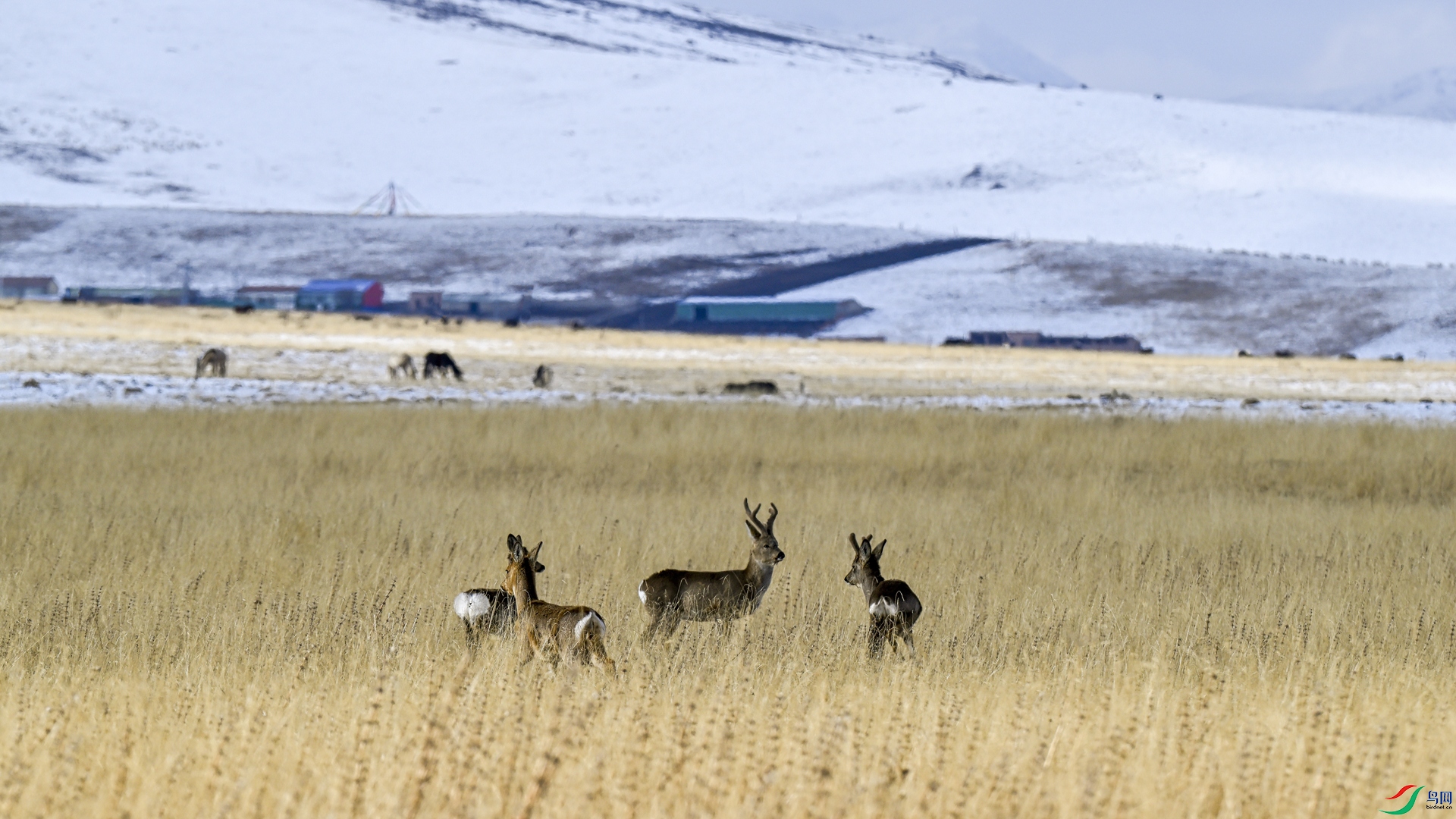 _DSC8637_����.jpg