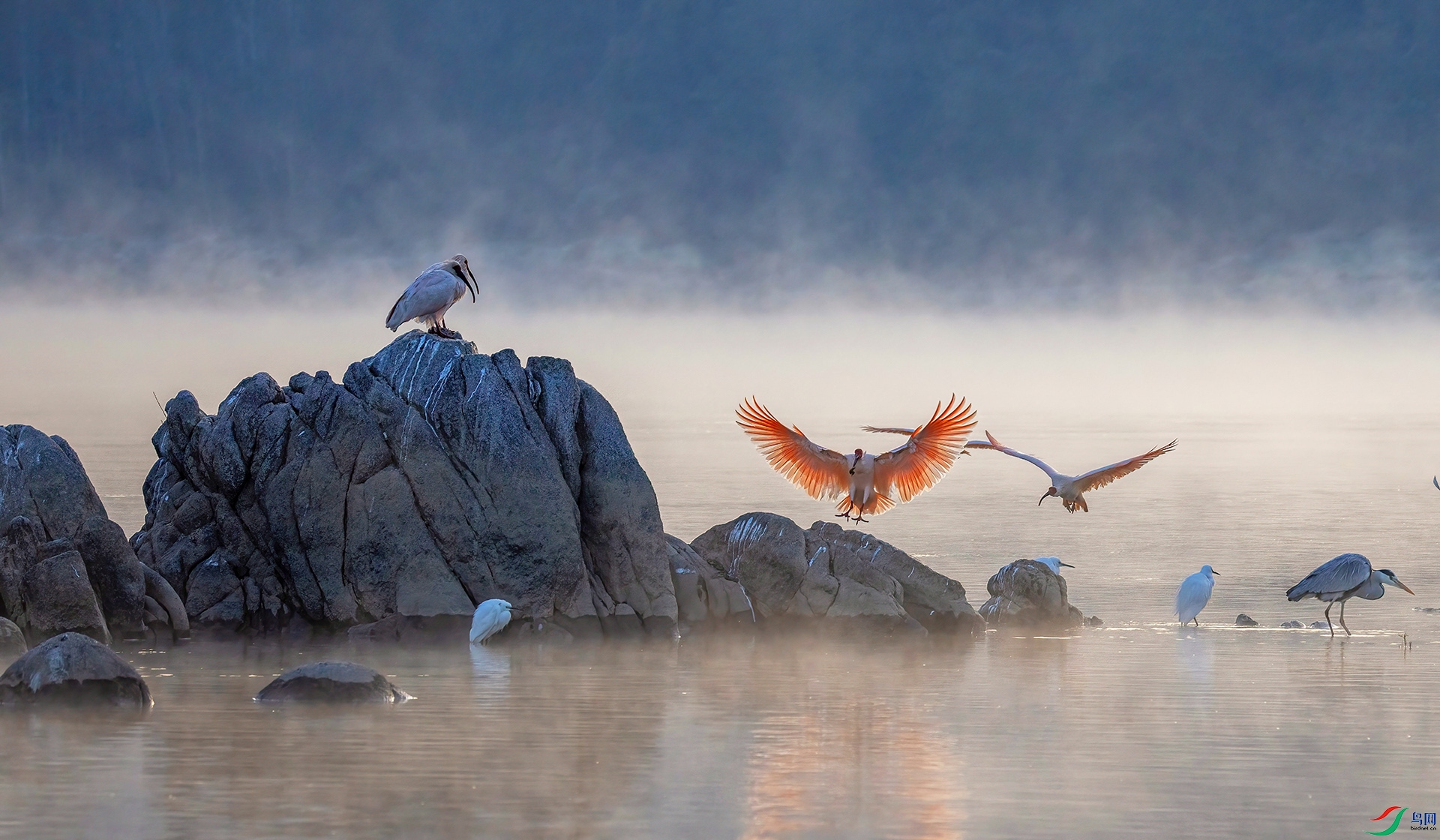 _07A0314 ����-Sh----1  .jpg