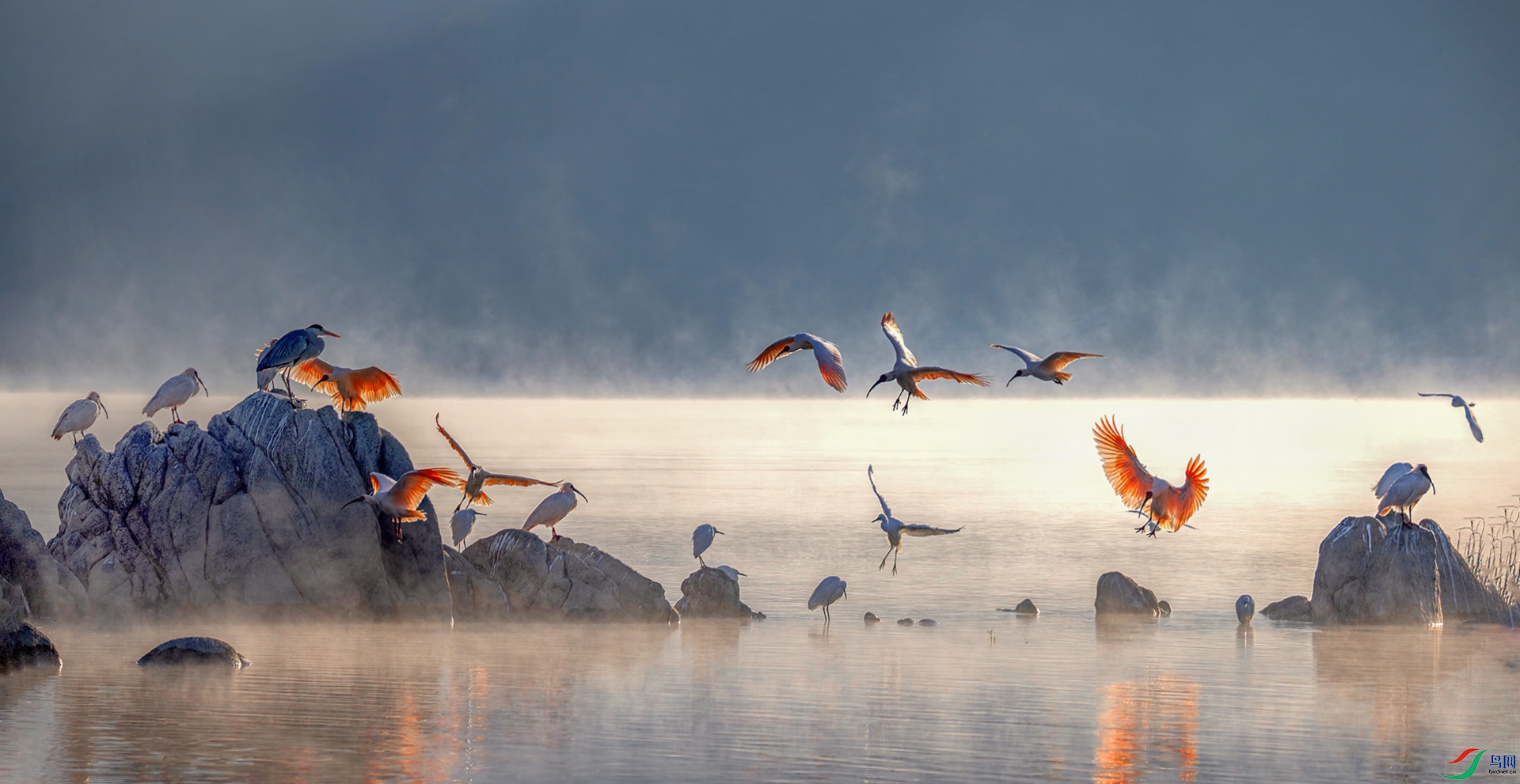 _07A4961 ����-Sh----1 .jpg