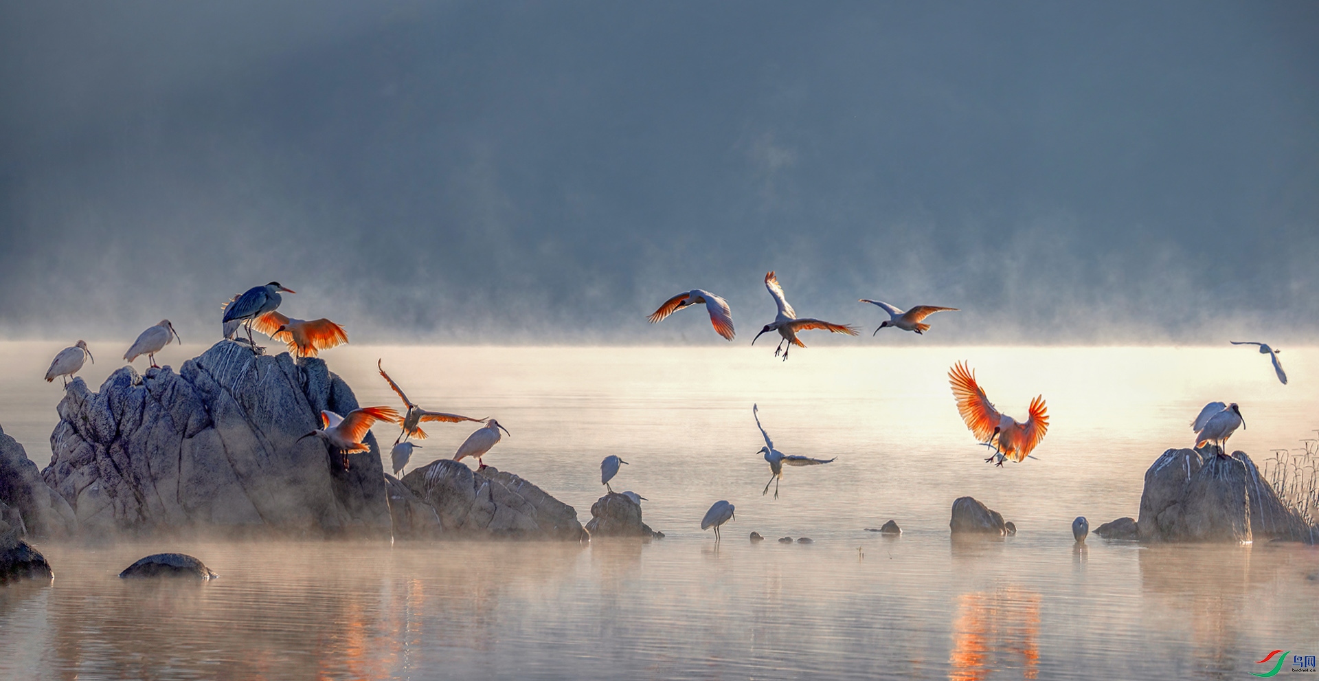 _07A4961 ����-Sh----1   .jpg