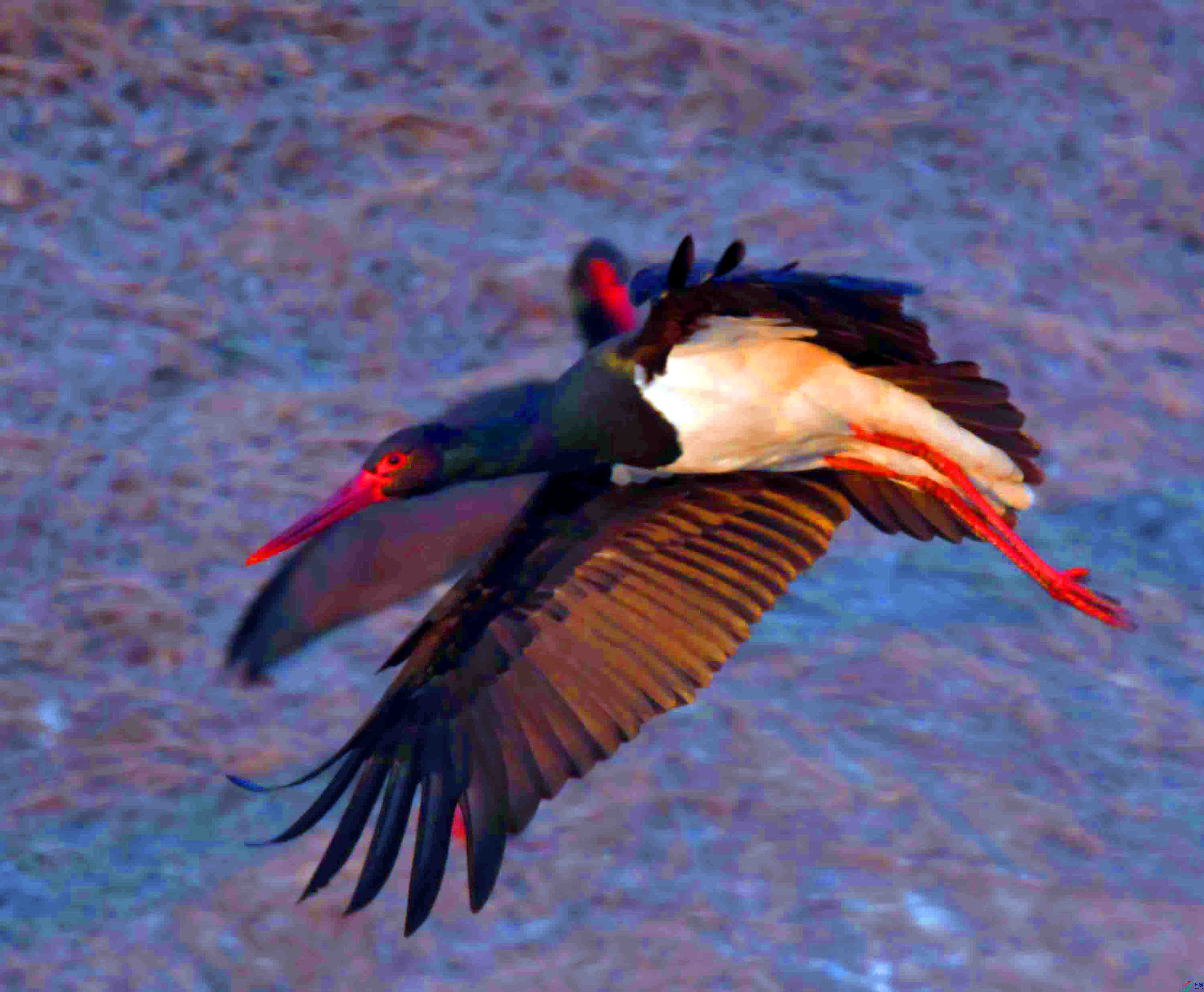 DSC_1072.JPG