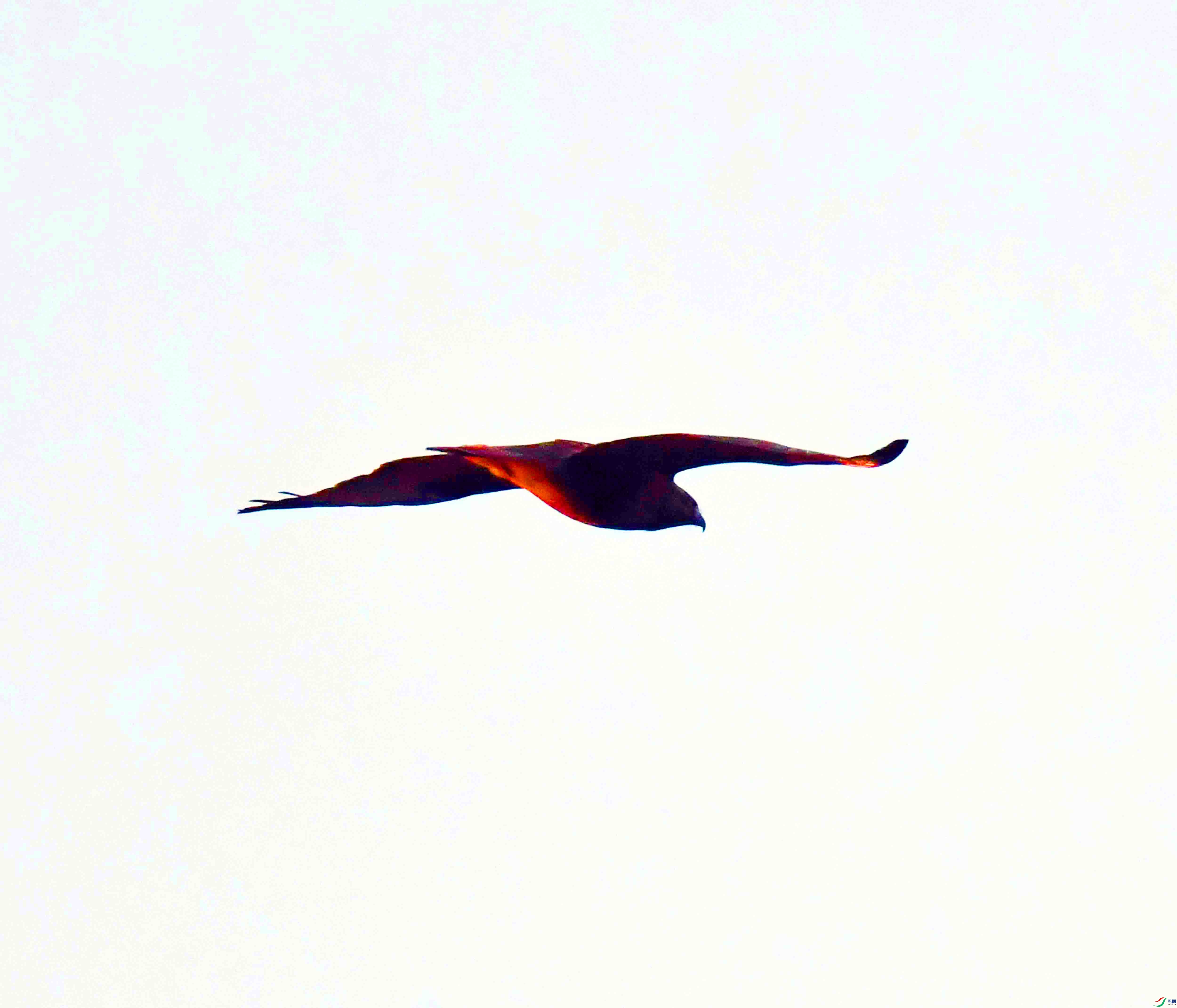 DSC_6536.JPG
