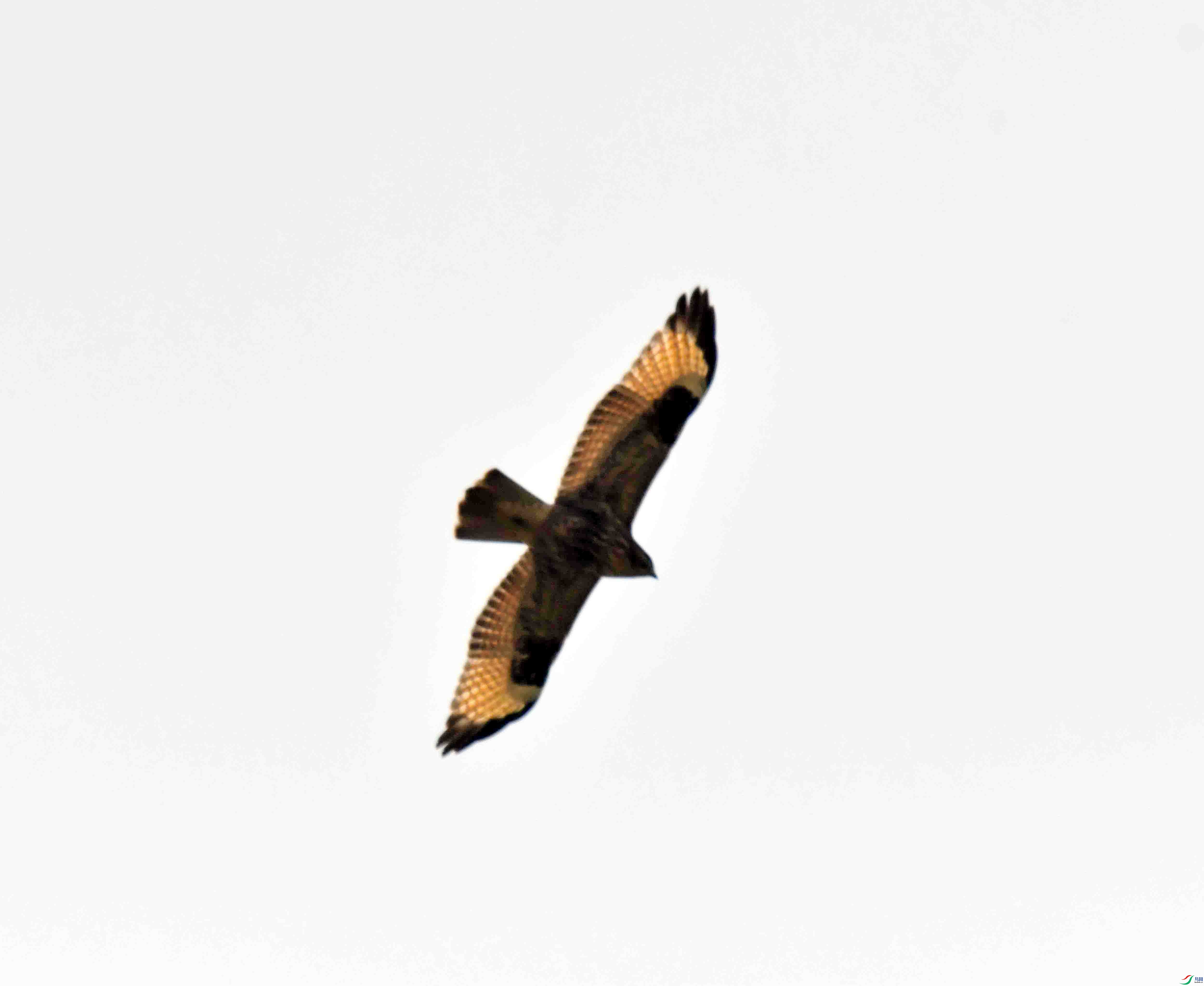 DSC_7777.JPG