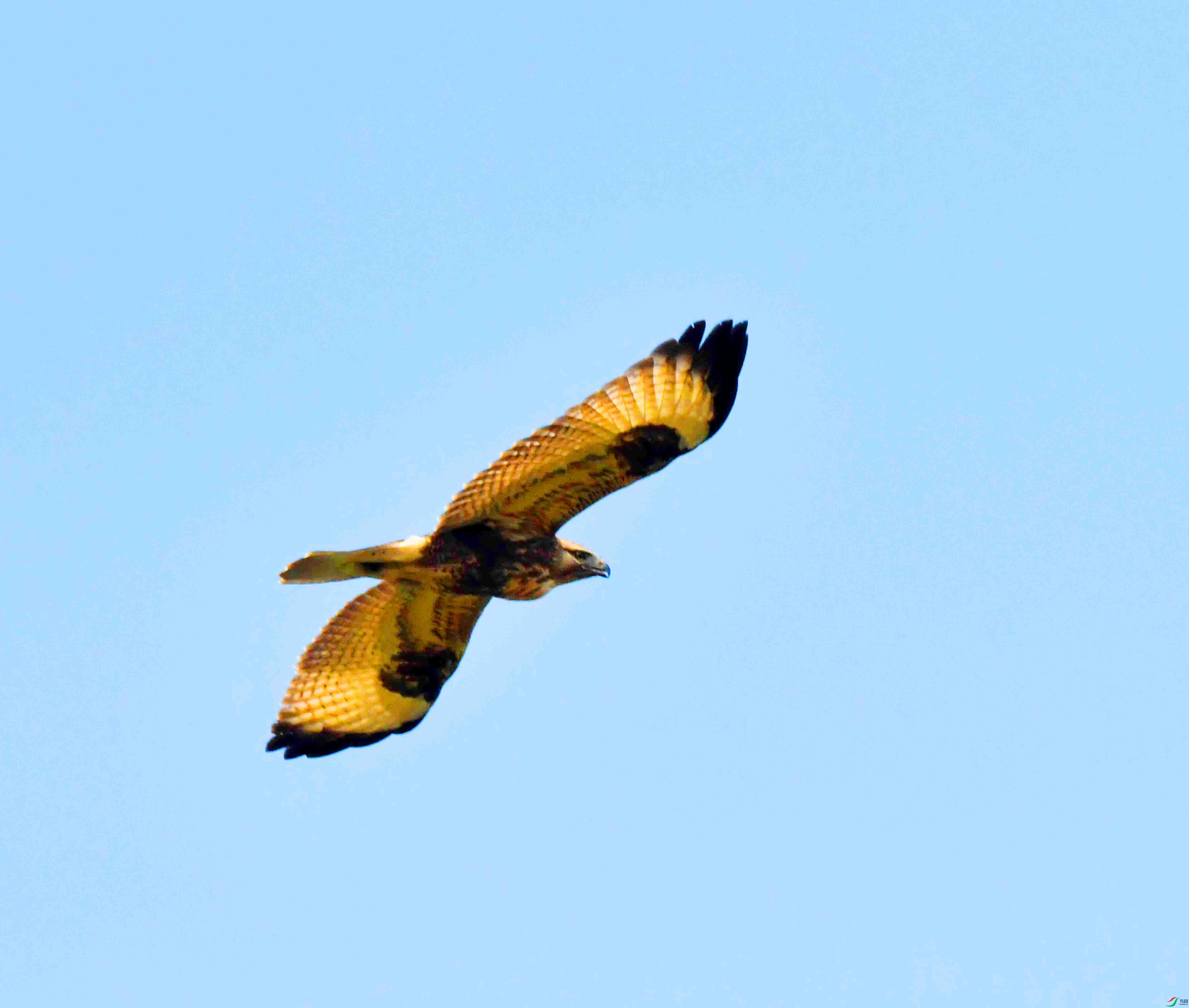 DSC_9744.JPG