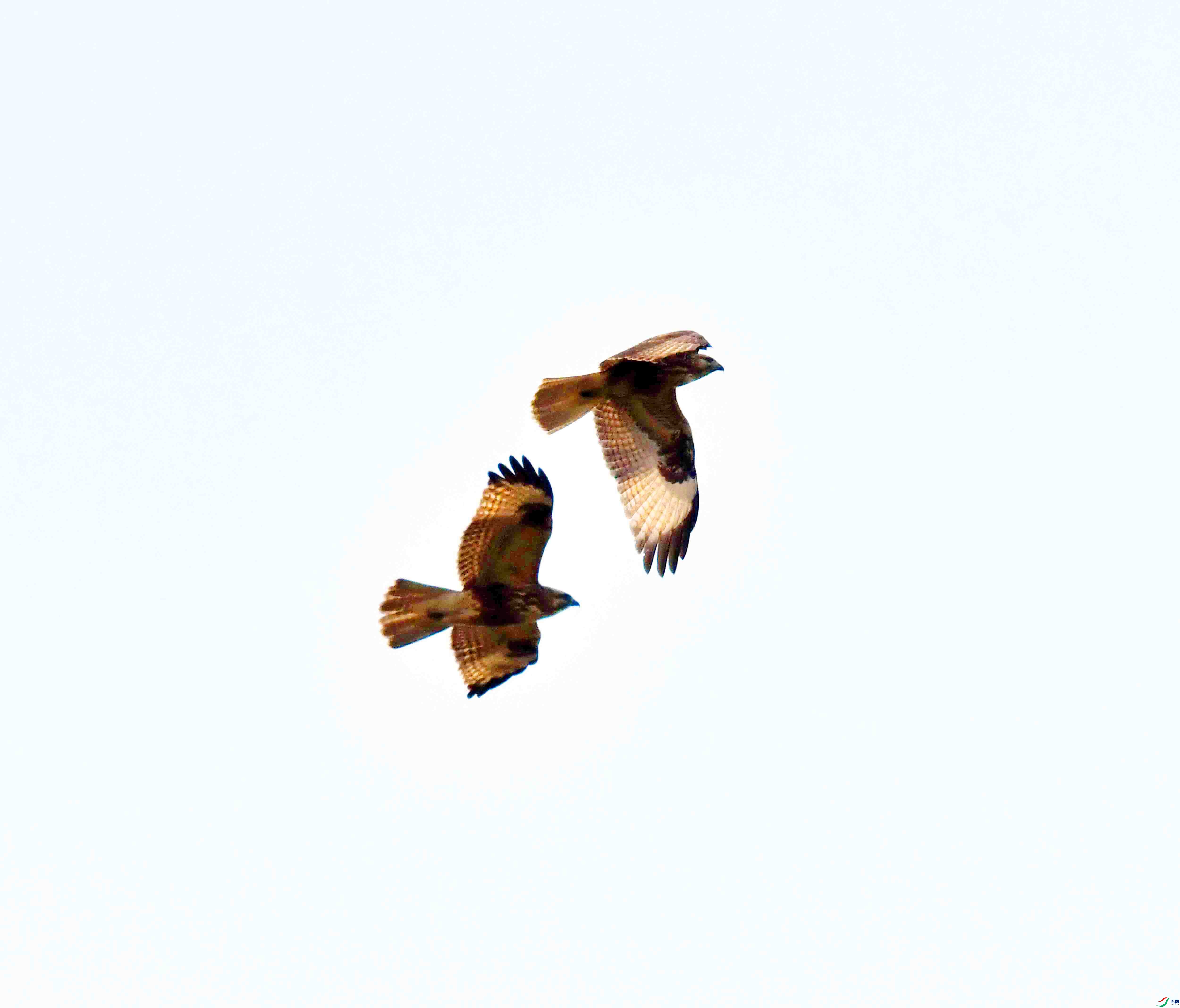 DSC_9836.JPG