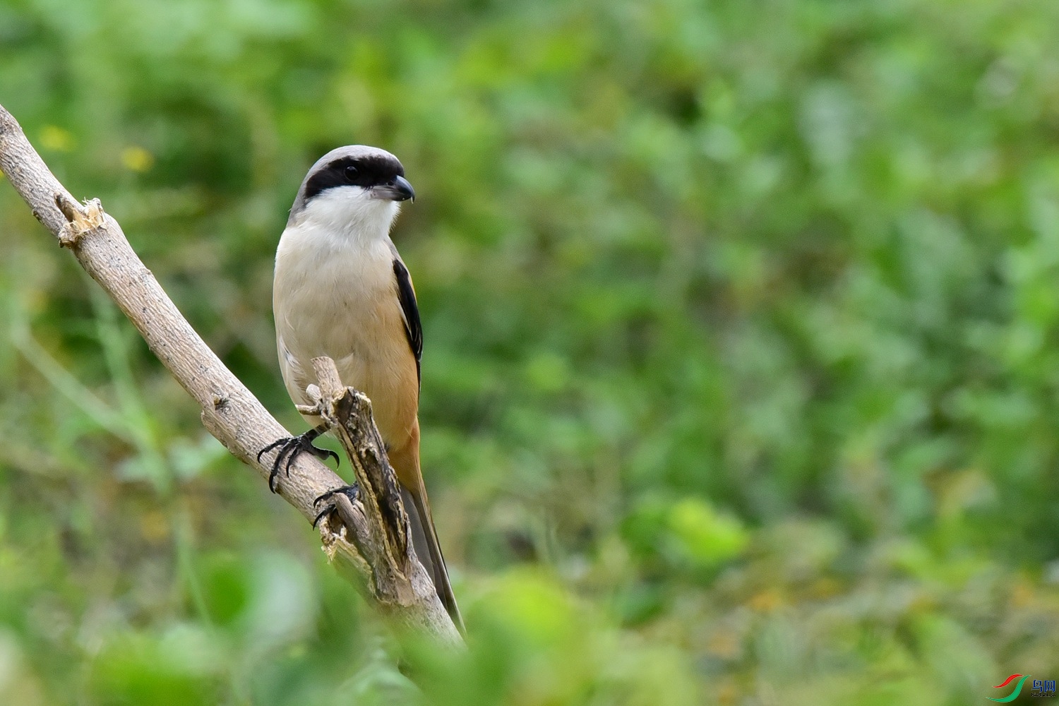 DSC_1477.JPG
