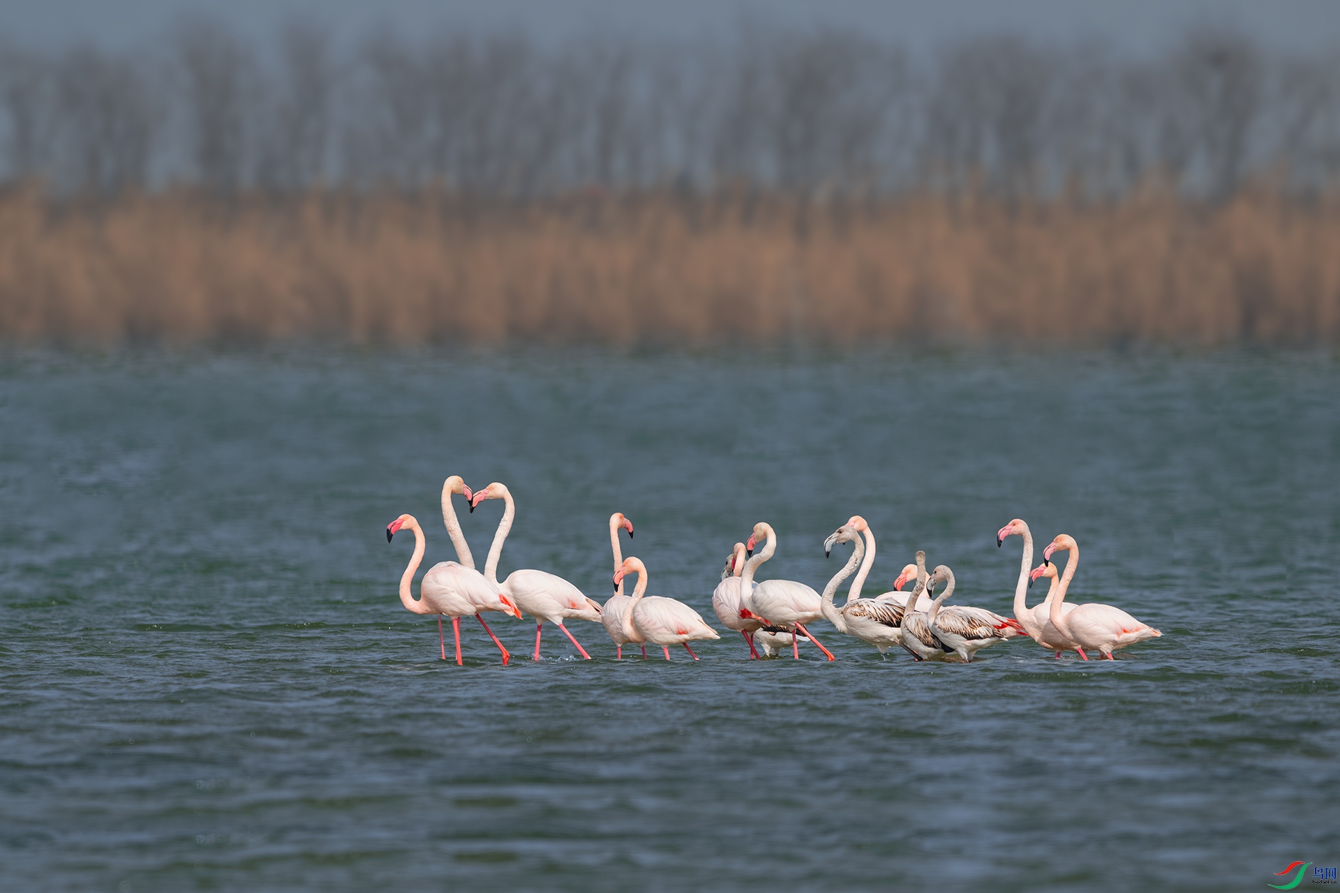 _DSC6054-����ǿ-NR ����С.jpg