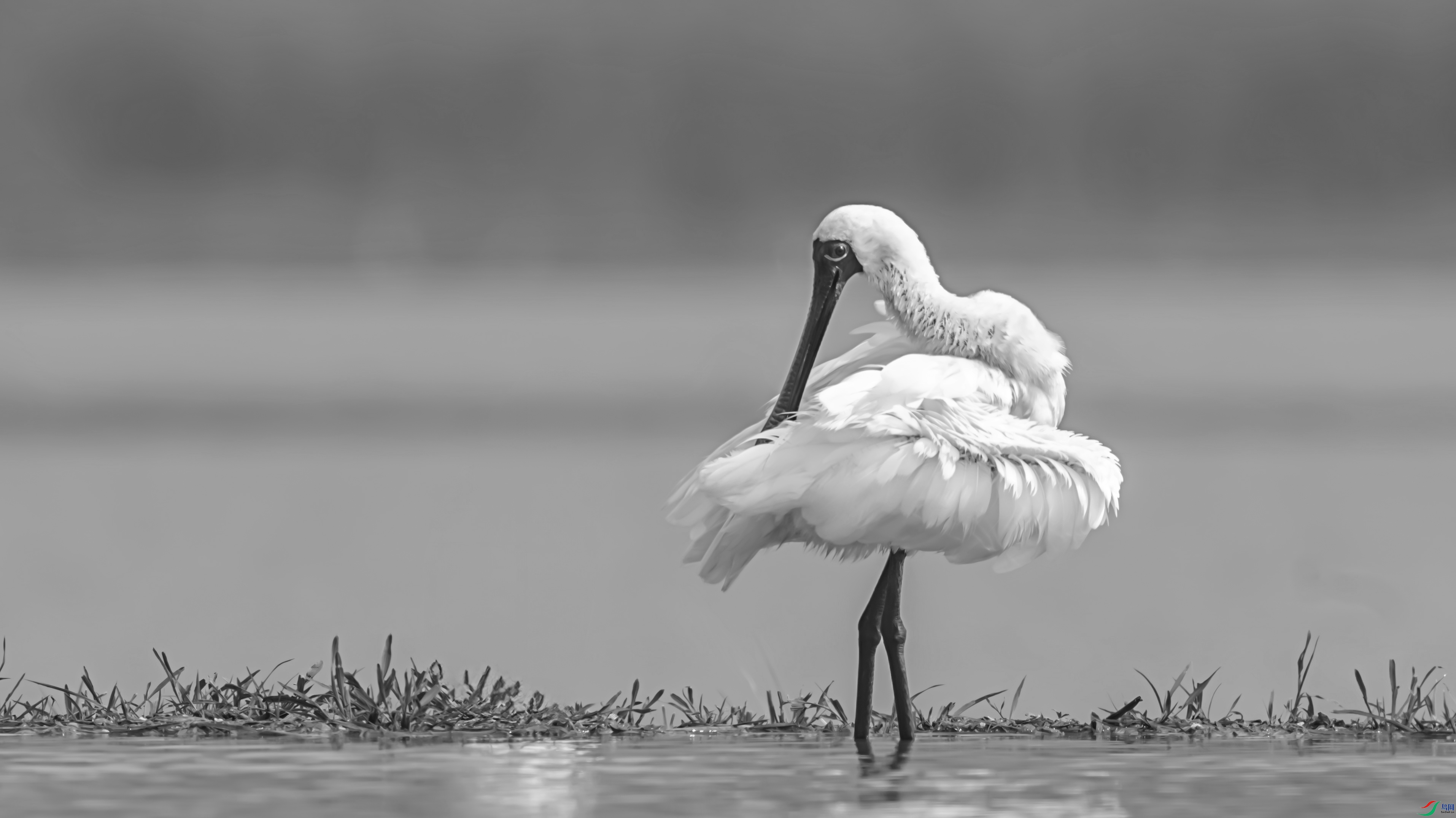 1269-17 ����.jpg