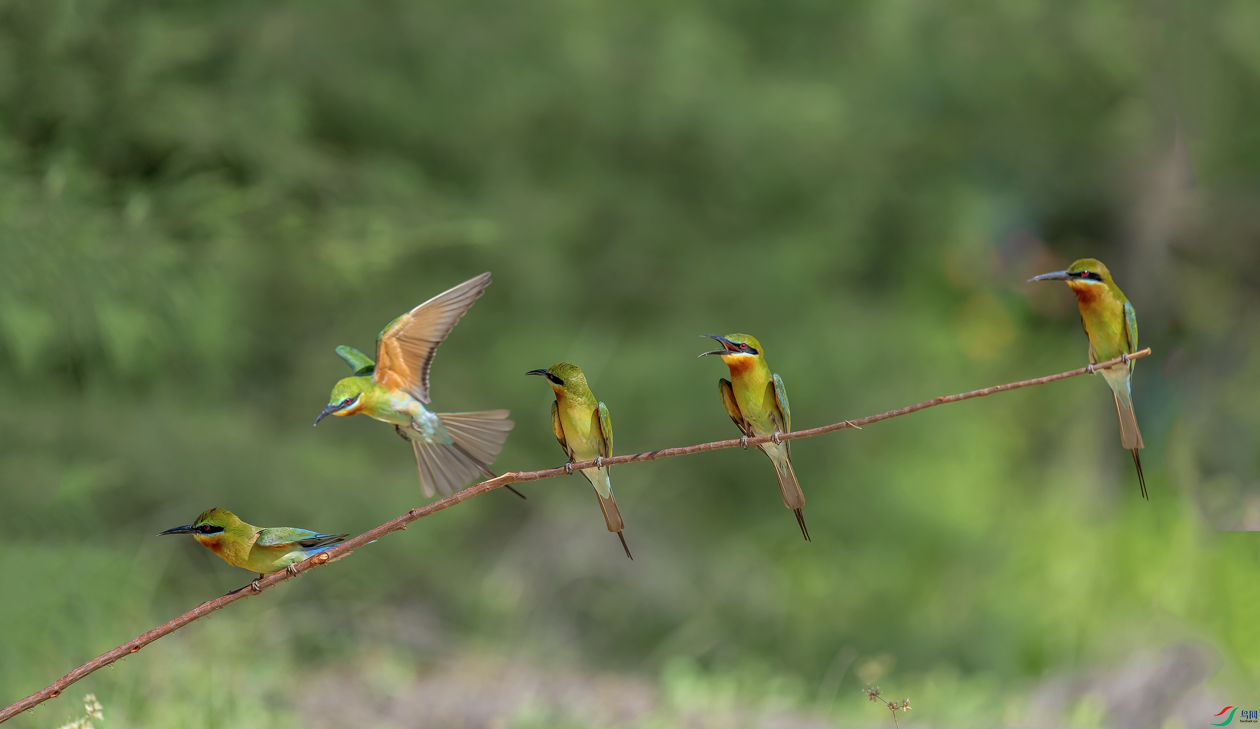 DSC_0022a.jpg