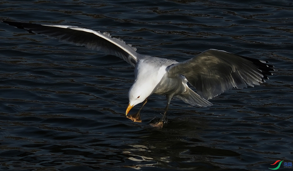 DSC04821.jpg