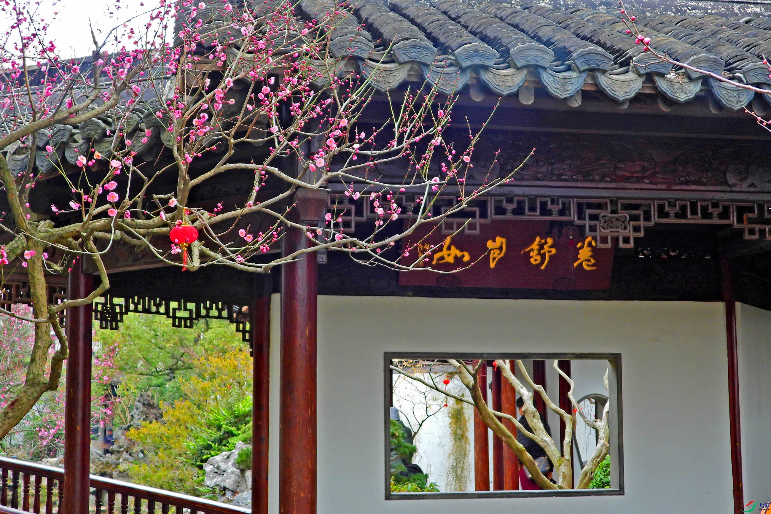 DSCN5218.JPG