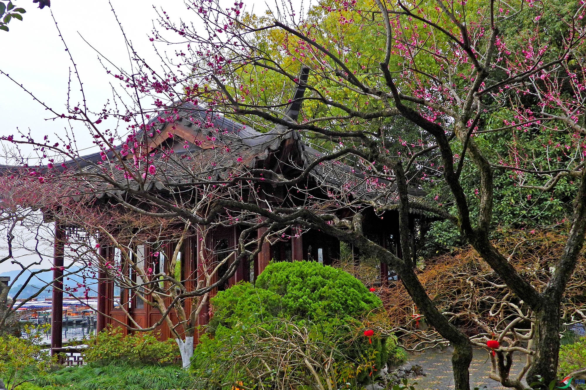 DSCN5212.JPG