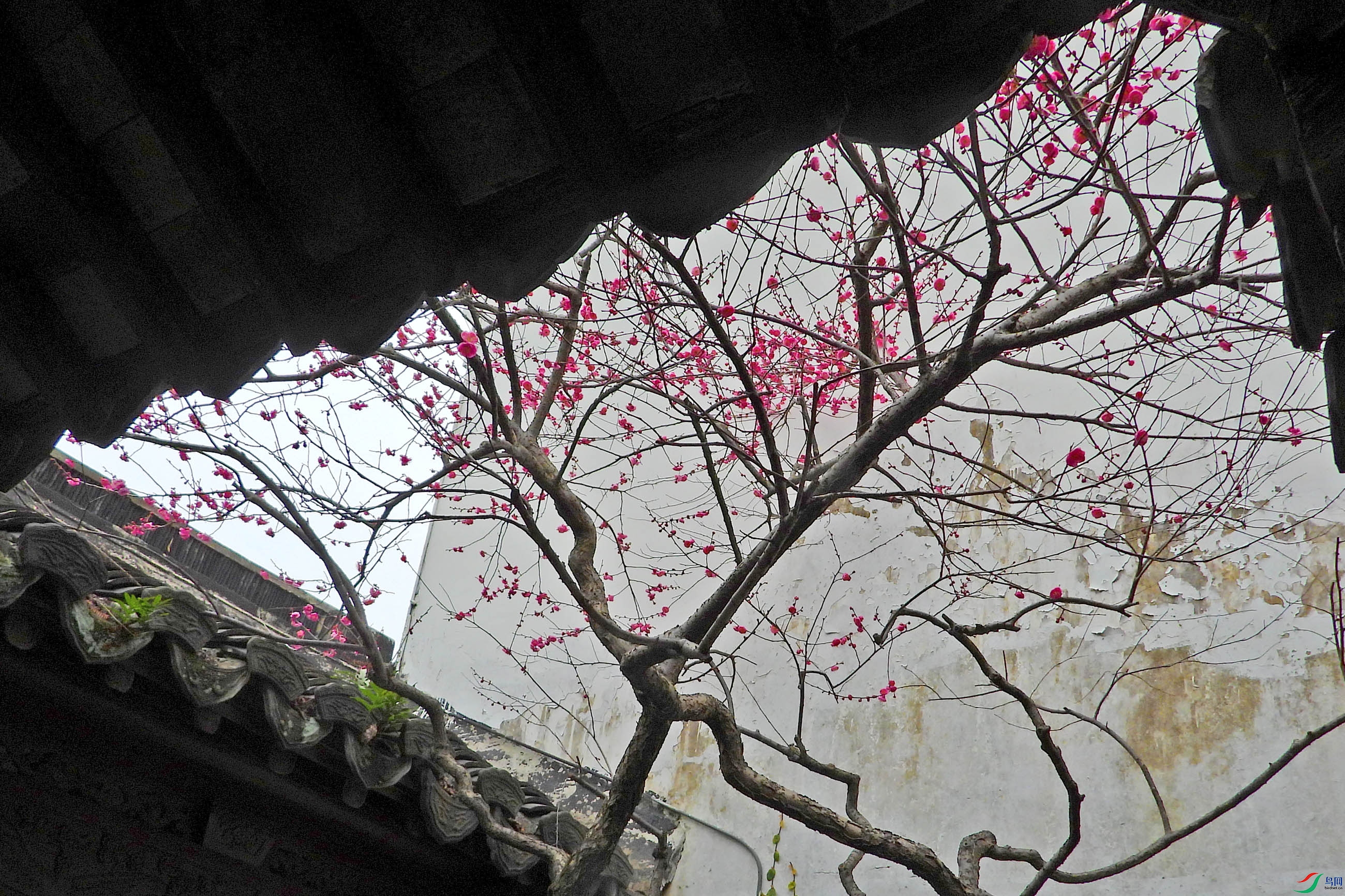 DSCN5220.JPG