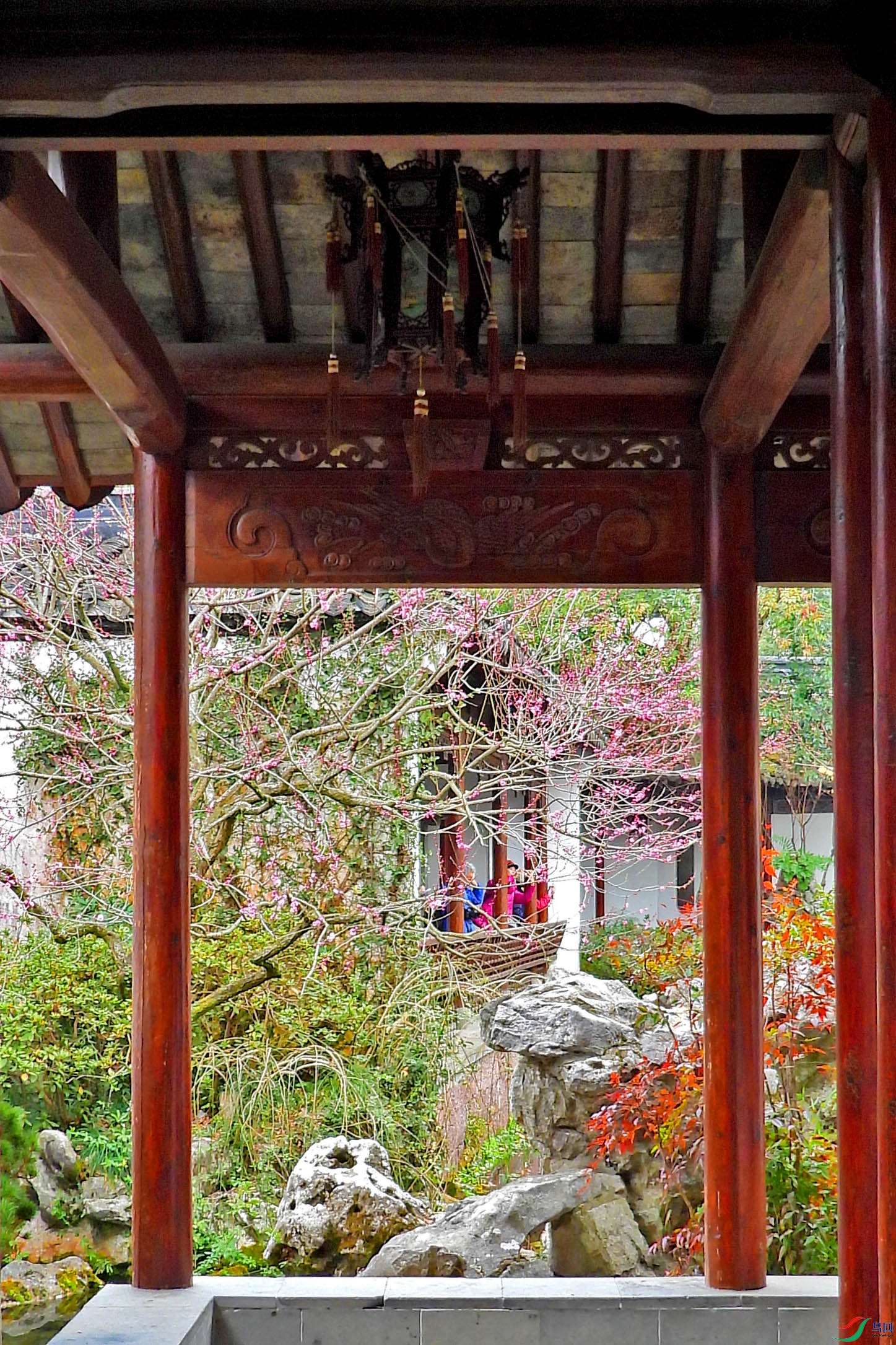 DSCN5221.JPG