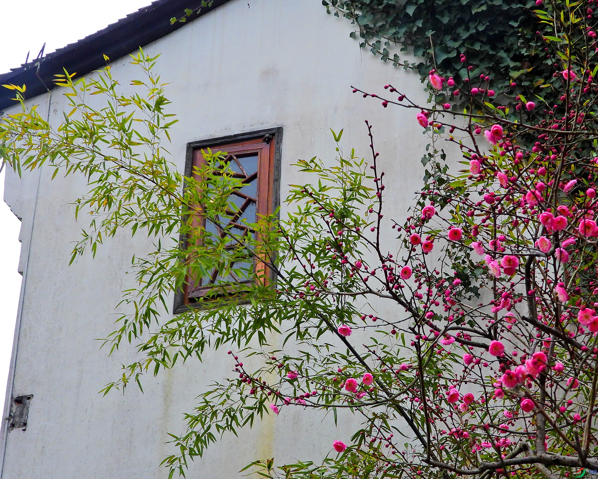 DSCN5230.JPG