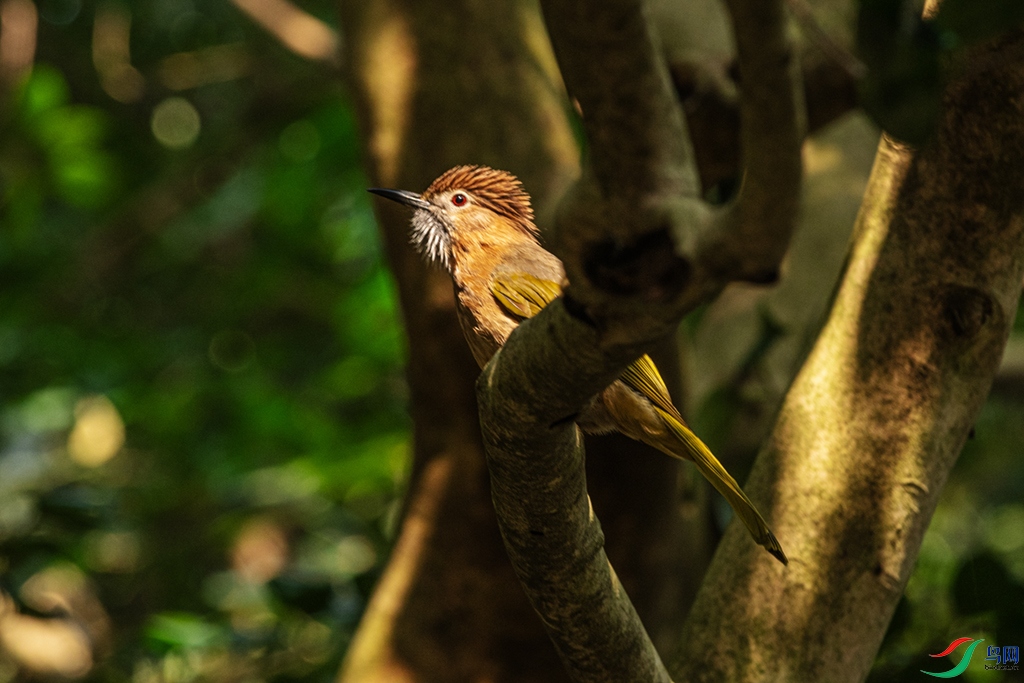 DSC_3259 ����.jpg