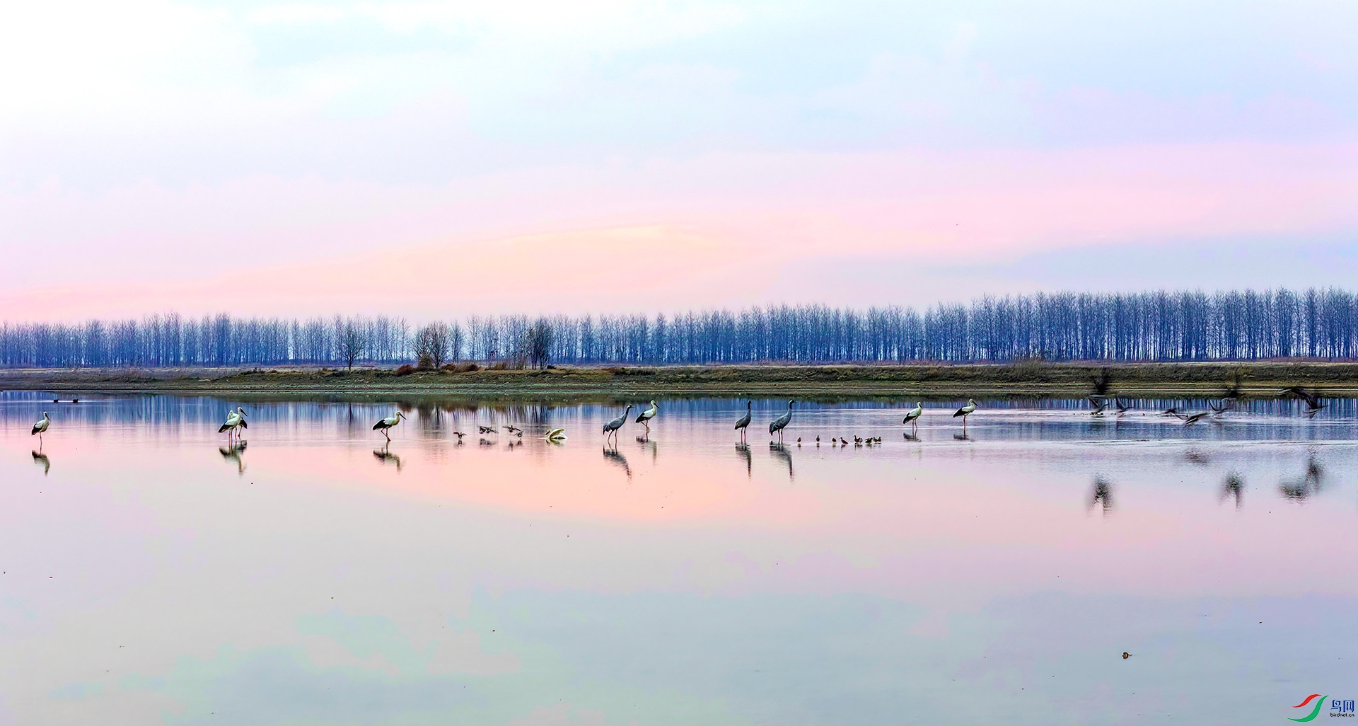 DJI_20250210070147_0031_D ����-Sh---1 .jpg