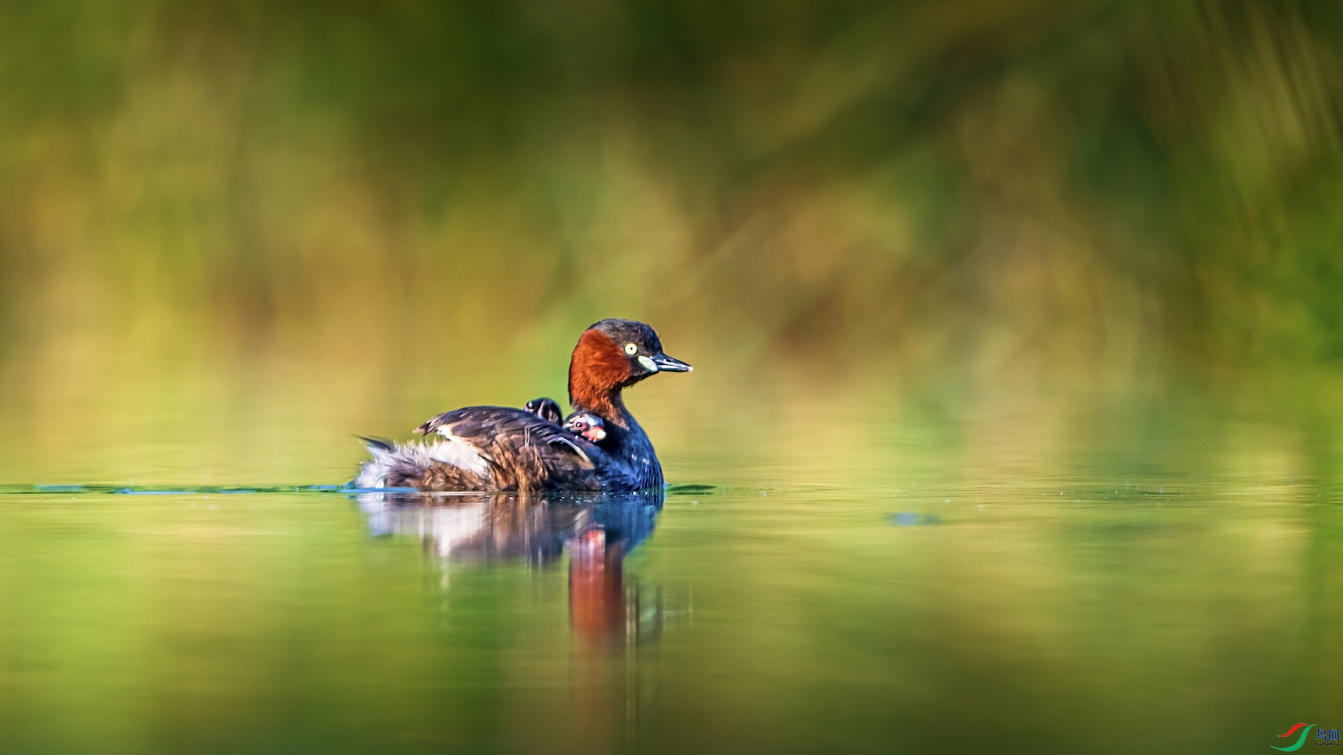 1-5-1 ����.jpeg