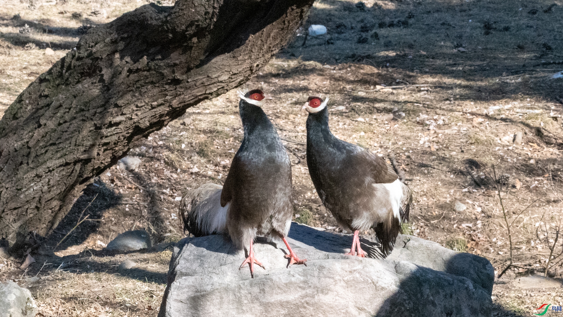 DSC_4251.jpg